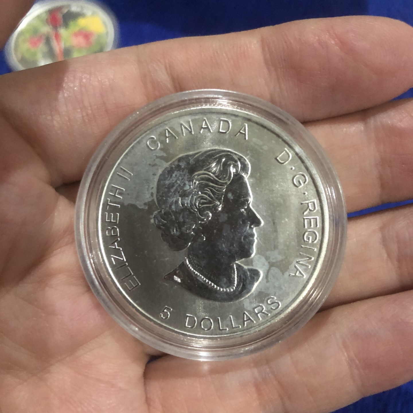 【保诚微拍】第36期  古今中外币章（部分评级）14号晚上七点半自动开拍！！！ 【投资银币】加拿大 2017年 生肖鸡年 1盎司 银币（31.1克 0.9999银）