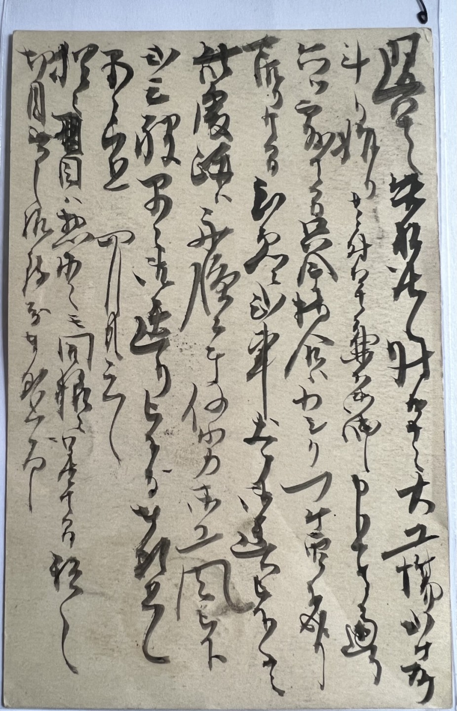 泡泡堂第117期  世界硬币专场（无押金，无佣金，捡漏，全场20包邮，偏远地区除外） 明信片6