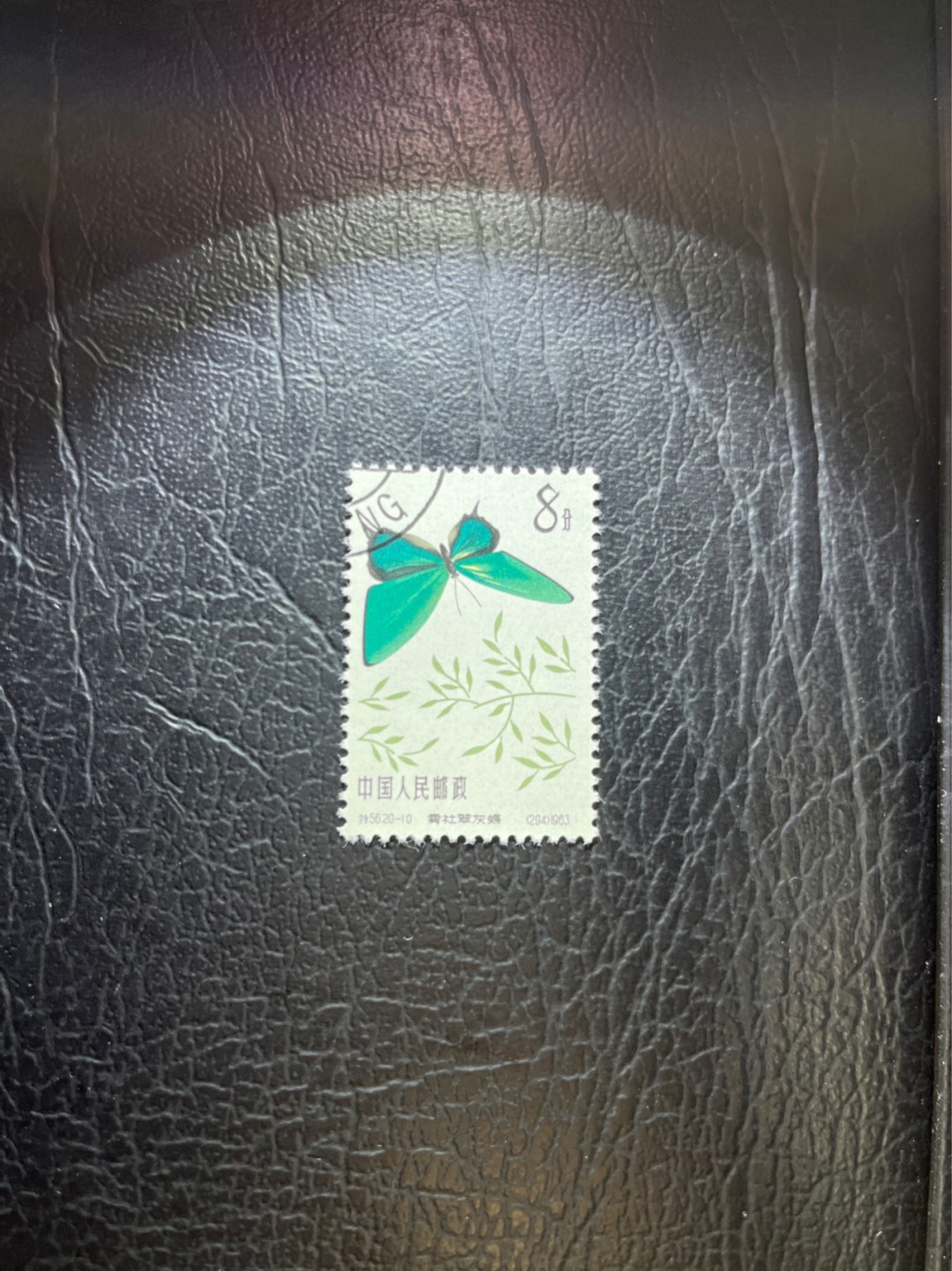洪涛臻品 精选邮票限时拍卖第五十四期 特56蝴蝶盖销  20-10一枚，版撕全品嘎嘎绝，钢戳，面艳胶白，六珍之一，非常受欢迎的品种，新票价格高，盖销全品不要错过