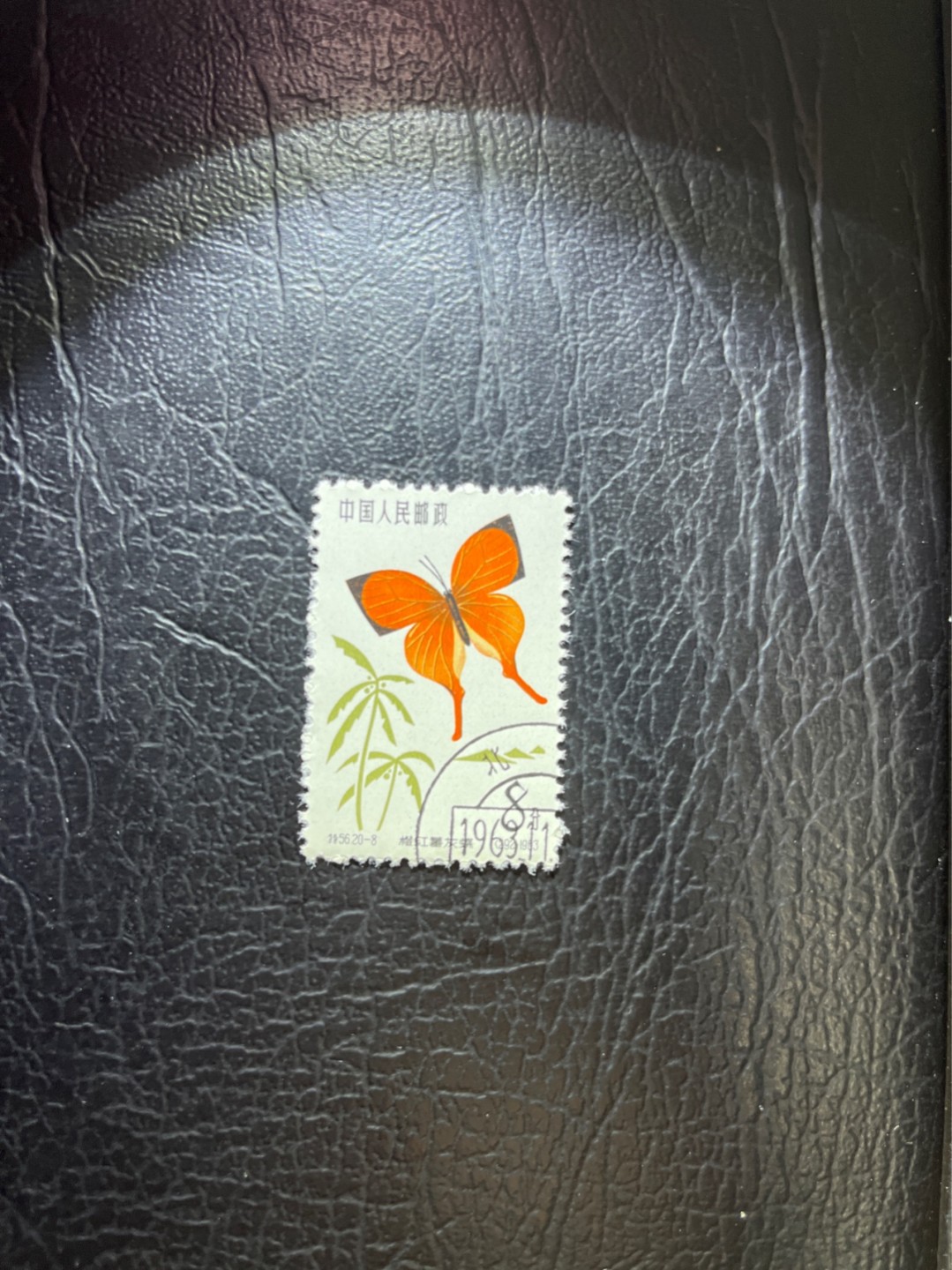 洪涛臻品 精选邮票限时拍卖第五十四期 特56蝴蝶盖销  20-8一枚，版撕全品嘎嘎绝，钢戳，面艳胶白，六珍之一，非常受欢迎的品种，新票价格高，盖销全品不要错过