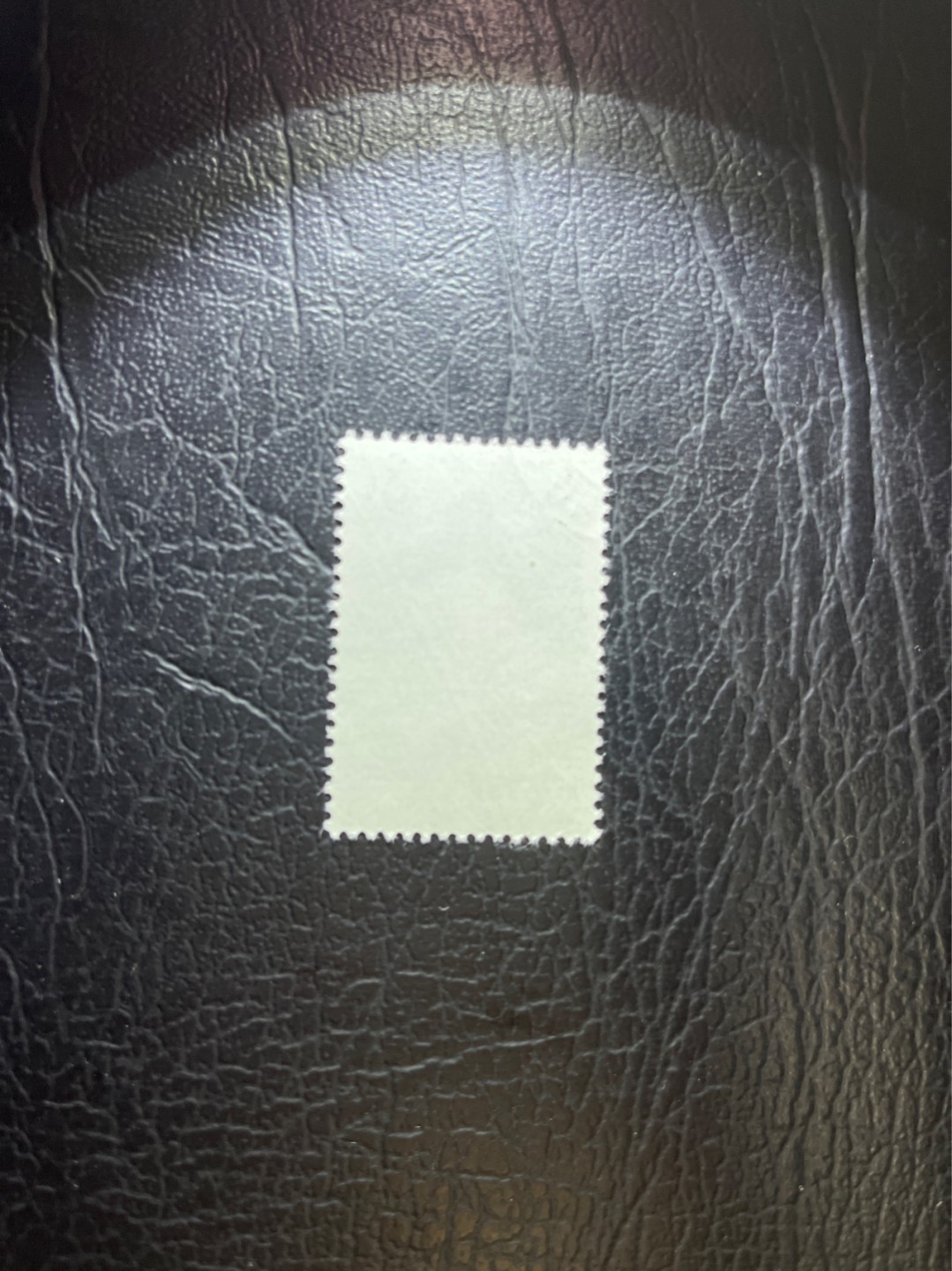 洪涛臻品 精选邮票限时拍卖第五十四期 特56蝴蝶盖销  20-10一枚，版撕全品嘎嘎绝，钢戳，面艳胶白，六珍之一，非常受欢迎的品种，新票价格高，盖销全品不要错过