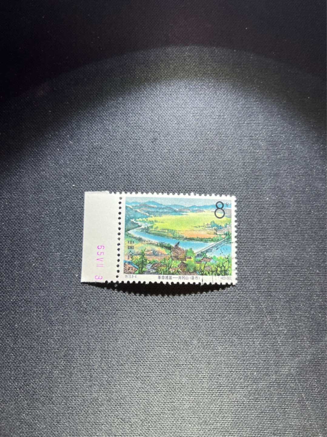 洪涛臻品 精选邮票限时拍卖第五十四期 特73井冈山盖销  8-4  数字边一枚，三俗稀缺，版撕全品嘎嘎绝，✦完美品相✦解放初的经典票，整版撕开，面艳胶白，票挺洁净，齿孔完美，收藏评级两相宜，且有高附加值边纸。老纪特的版票资源十分稀缺难寻，机会来临时必须抓住。《ASG评级处于初级阶段，趁便宜囤精品版撕票，后市不可估量》