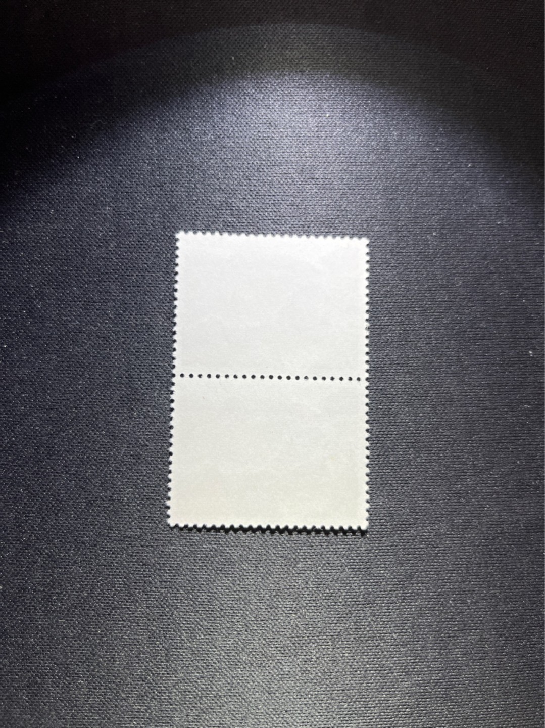 洪涛臻品 精选邮票限时拍卖第五十六期 文17  10分  2连一组，版撕票，一枚全品，一枚角软折上品，喜欢不要错过！《ASG评级处于初级阶段，注意建仓便宜的版撕货，未来市场前景不可估量！！！！》