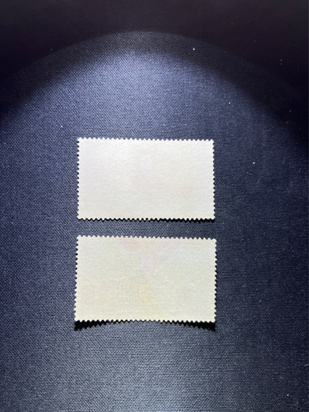 洪涛臻品 精选邮票限时拍卖第六十二期 特45博物馆盖销 无胶顺戳💝拍品实物见第2-3图