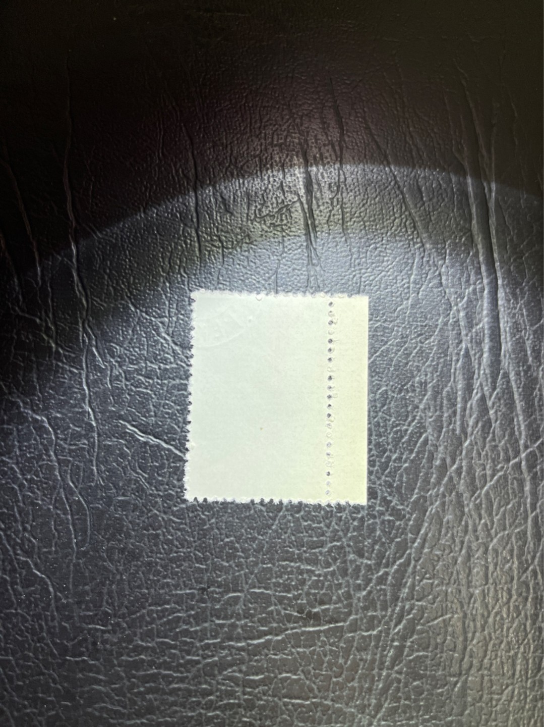 洪涛臻品 精选邮票限时拍卖第五十四期 特56蝴蝶盖销  20-15一枚，版撕全品嘎嘎绝，钢戳，面艳胶白，六珍之一，非常受欢迎的品种，新票价格高，盖销全品不要错过