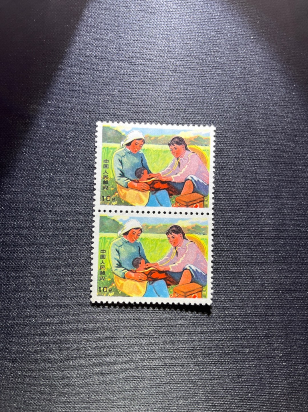 洪涛臻品 精选邮票限时拍卖第五十六期 文17  10分  2连一组，版撕票，一枚全品，一枚角软折上品，喜欢不要错过！《ASG评级处于初级阶段，注意建仓便宜的版撕货，未来市场前景不可估量！！！！》