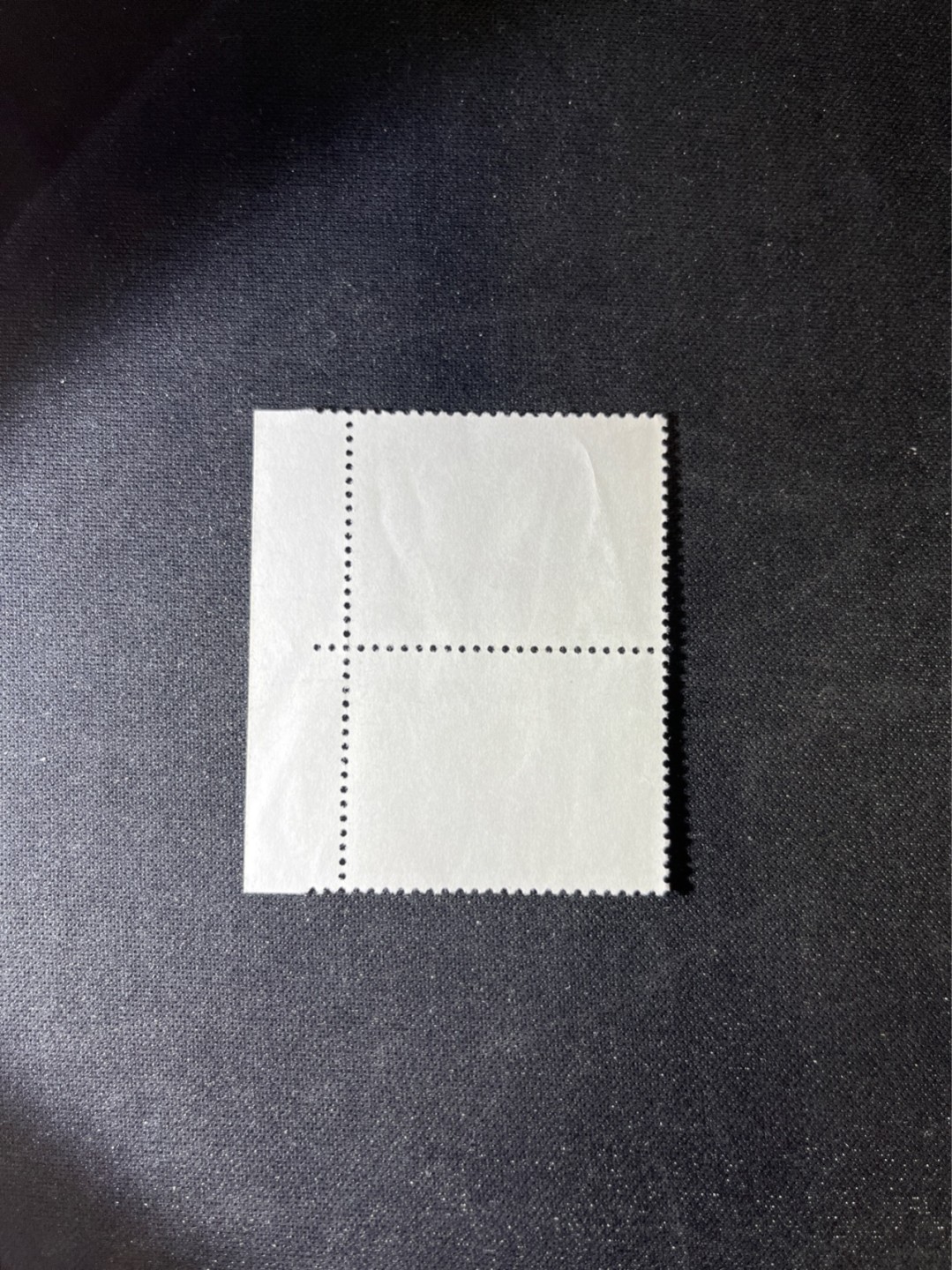 洪涛臻品 精选邮票限时拍卖第五十四期 文17  10分 厂名➕色标 2连一组，版撕票，上品，软折，喜欢不要错过！《ASG评级处于初级阶段，注意建仓便宜的版撕货，未来市场前景不可估量！！！！》