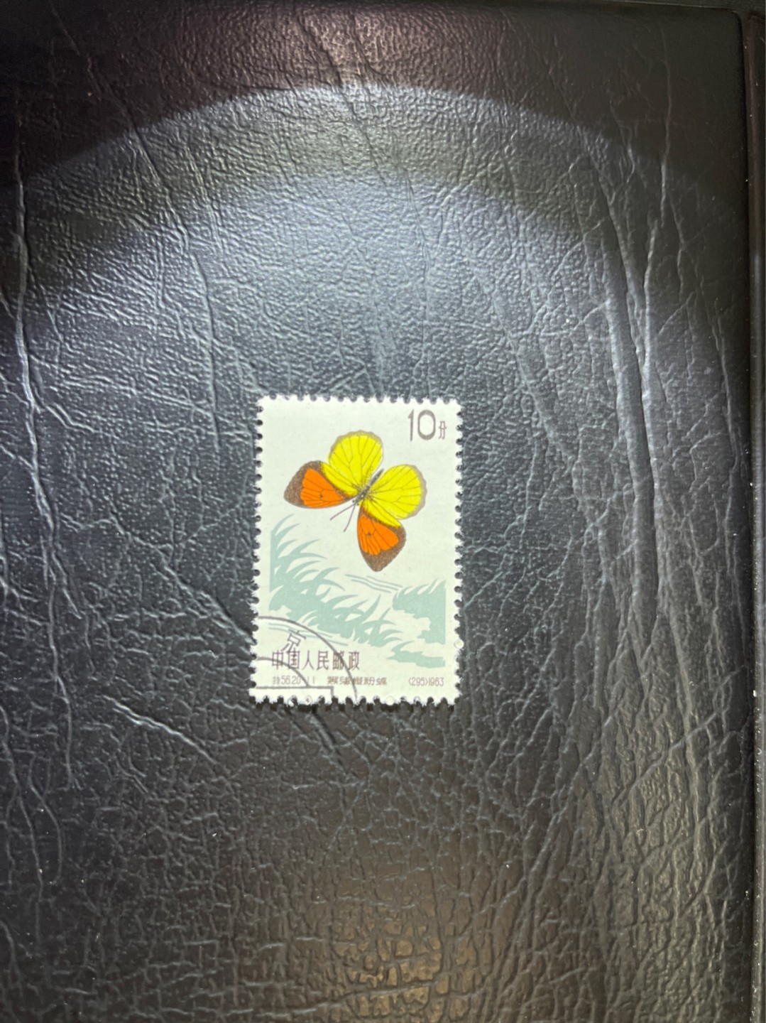 洪涛臻品 精选邮票限时拍卖第五十四期 特56蝴蝶盖销  20-11一枚，版撕全品嘎嘎绝，钢戳，面艳胶白，六珍之一，非常受欢迎的品种，新票价格高，盖销全品不要错过
