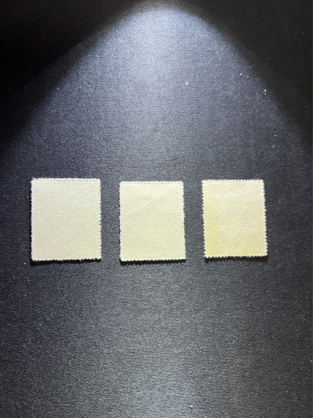 洪涛臻品 精选邮票限时拍卖第五十六期 特22古生物 盖销上品 顺戳  面艳背白票挺