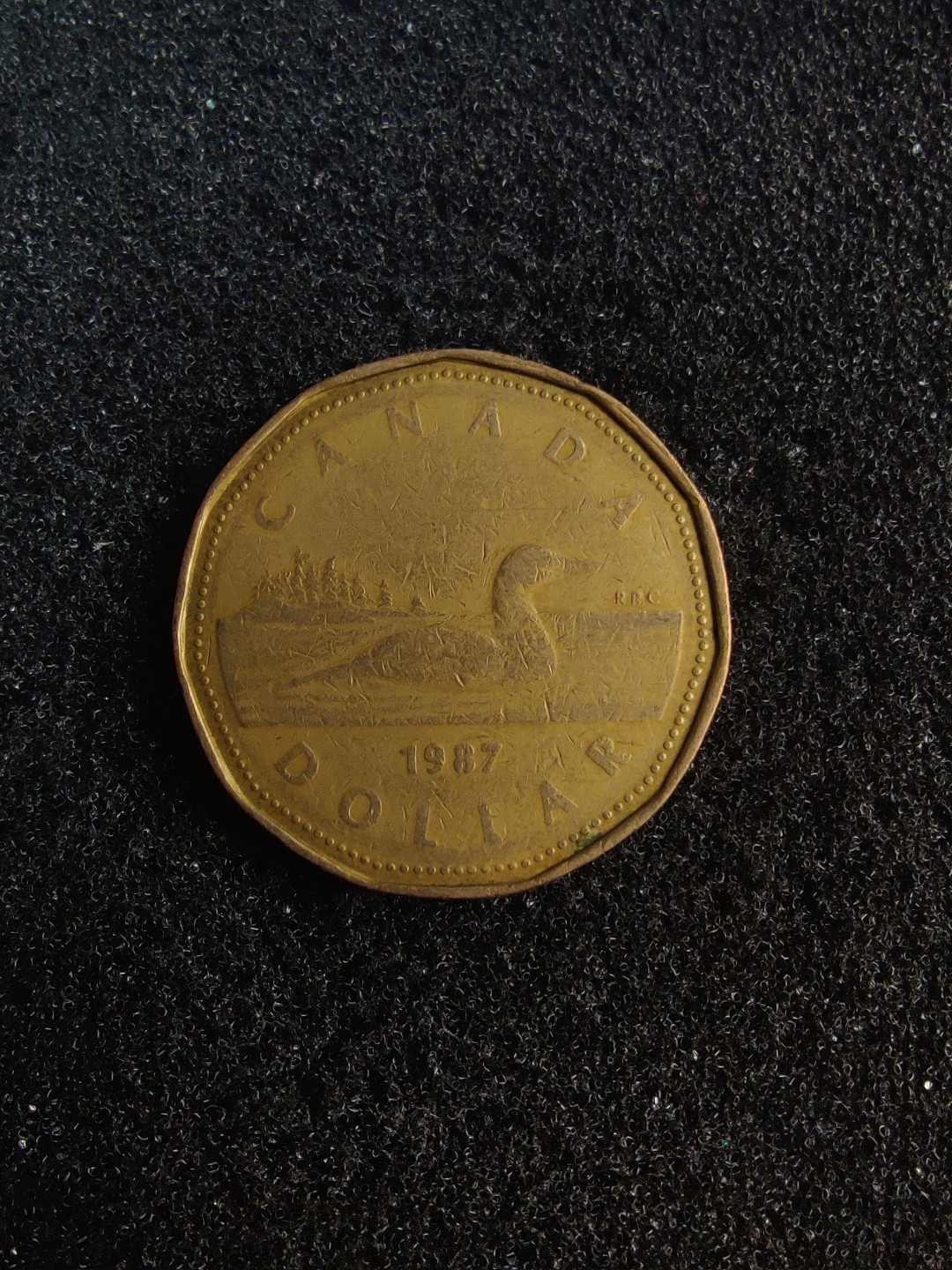 ♥一只鱼（世界钱币第五期） 加拿大1元