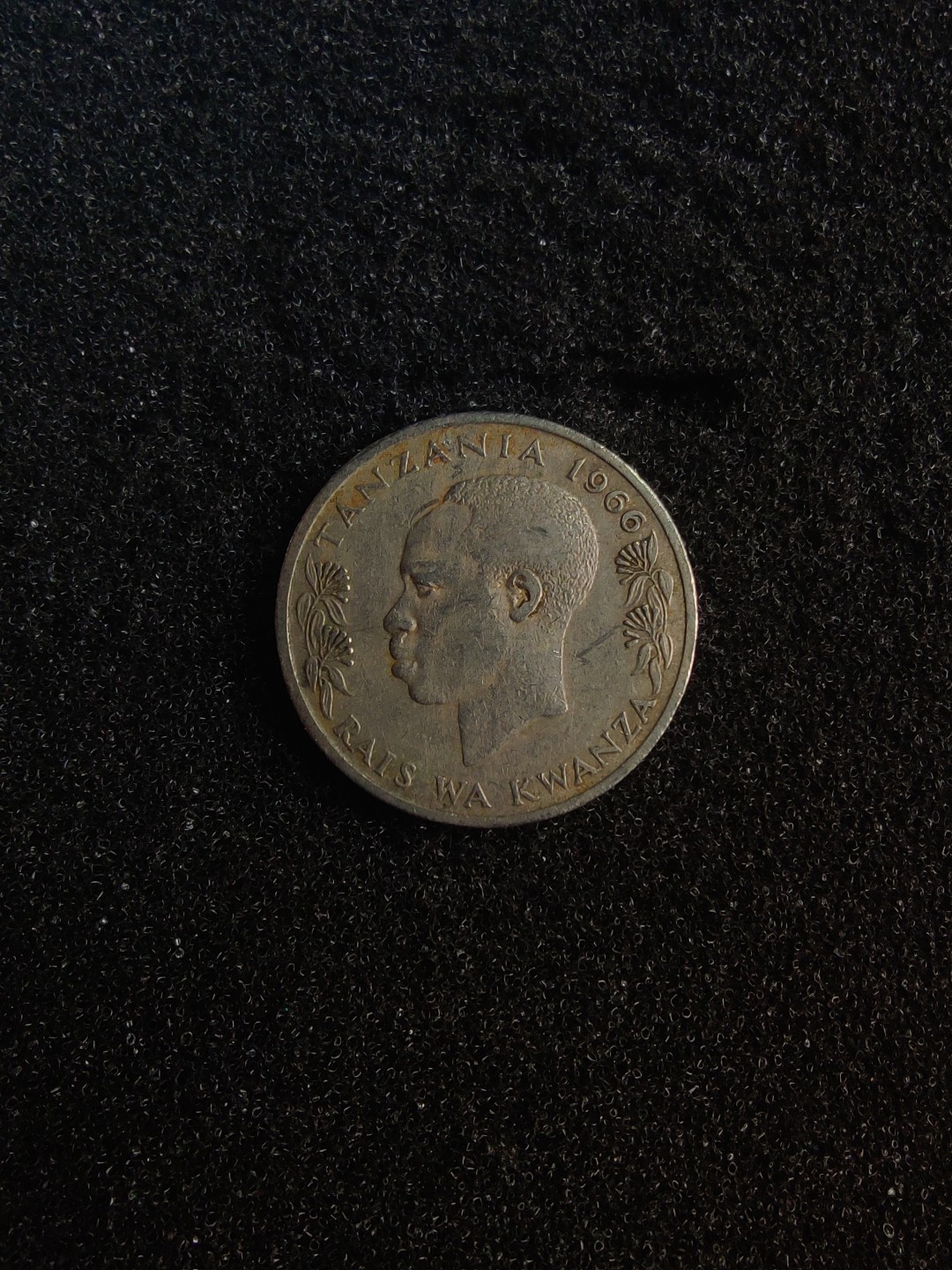 ♥一只鱼（世界钱币第五期） 坦桑尼亚50分