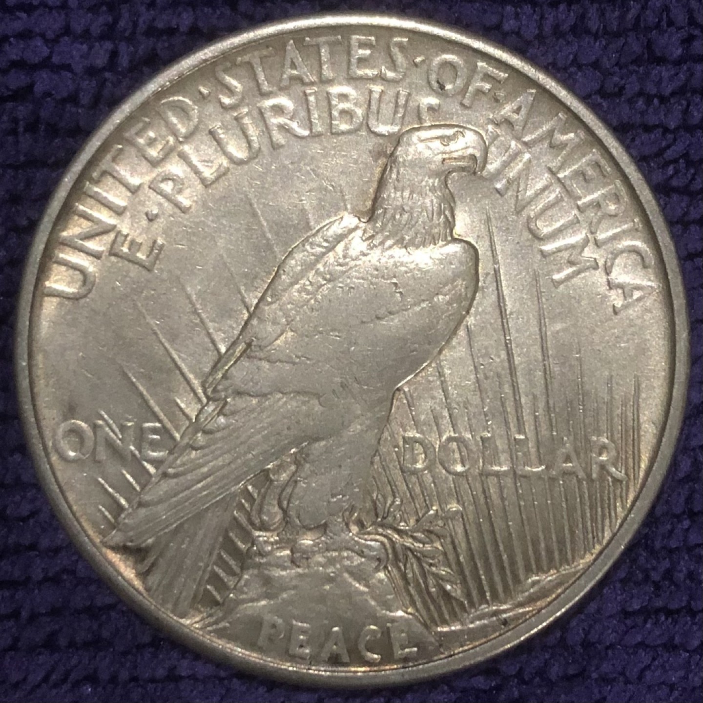 【保诚微拍】第36期  古今中外币章（部分评级）14号晚上七点半自动开拍！！！ 美国 1921年 和平 1美元 克朗型大银币(26.8克，900银) 第一枚 和平，发行量很少！！1