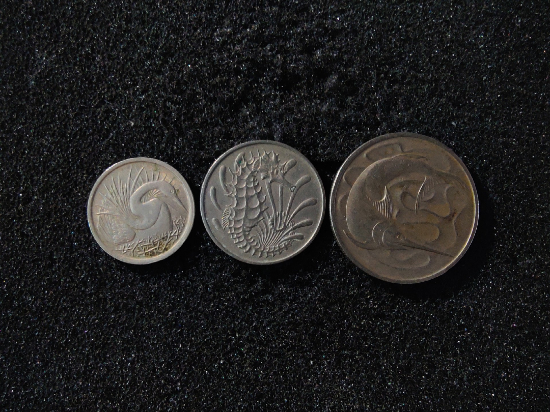 ♥一只鱼（世界钱币第五期） 新加坡套币