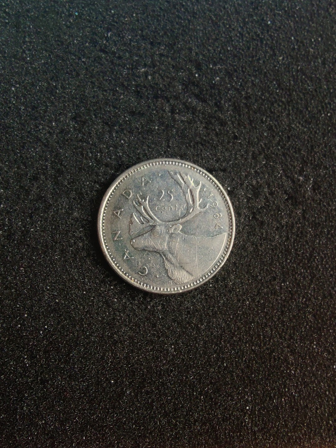 ♥一只鱼（世界钱币第五期） 加拿大25分