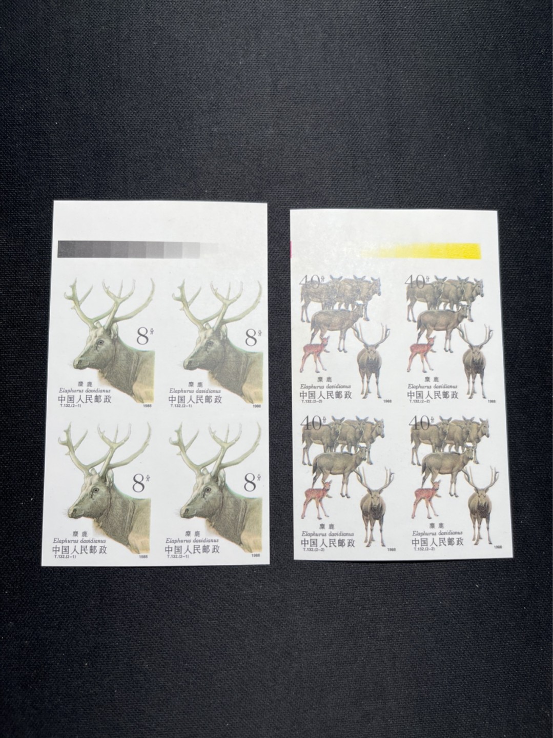 洪涛臻品 精选邮票限时拍卖第五十五期 T132无齿麋鹿新全    横4连一组 ★肉眼绝品无瑕疵，紫光灯下极轻微瑕疵★精品版货  精工细裁 ，四角白尖， 面艳背白，全程带硅胶手套操作，喜欢的老板不要错过