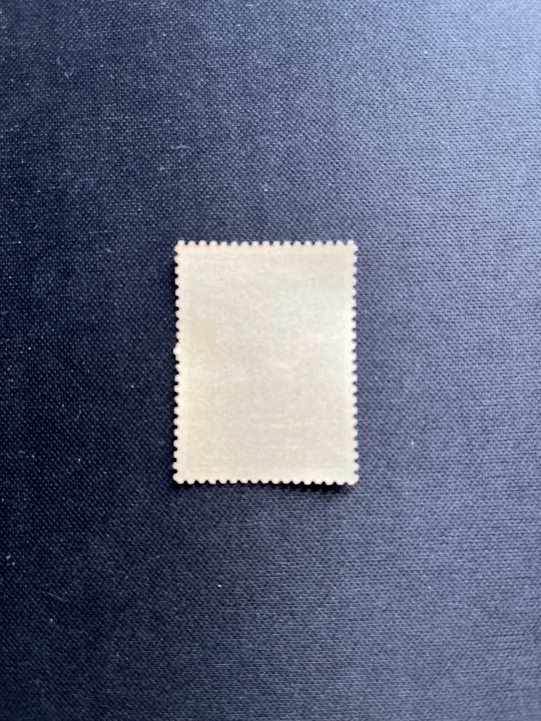 洪涛臻品 精选邮票限时拍卖第五十六期 特46唐三彩★新票★ 8-5全品一枚，撕口新，齿孔饱满，背胶圆润，ASG可评级，评级包OG。收藏级品相，配套必备。