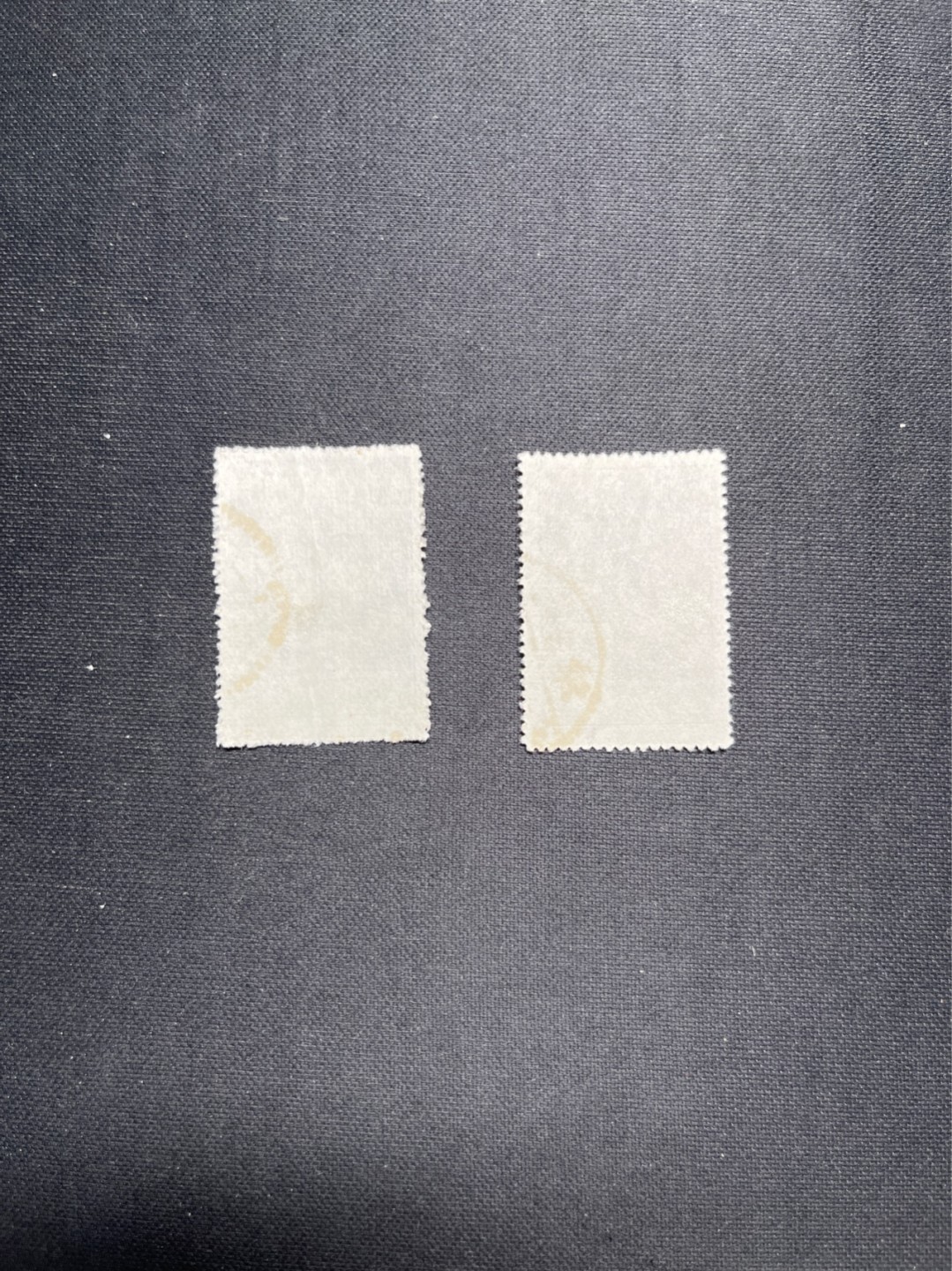 洪涛臻品 精选邮票限时拍卖第六十四期 特10 信销上品