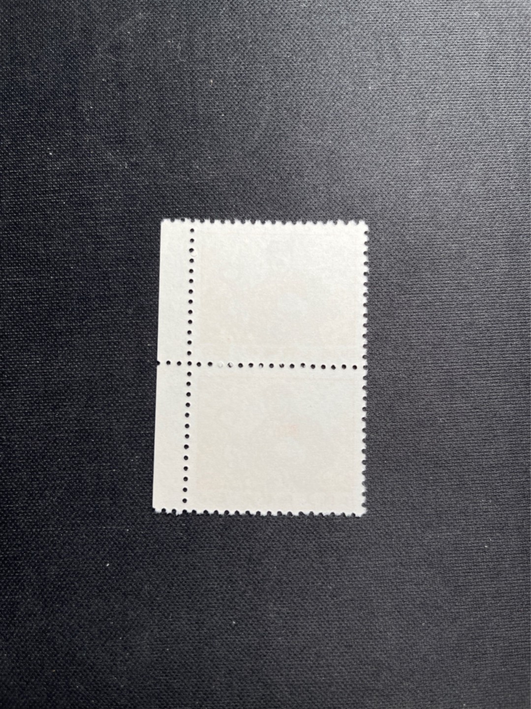 洪涛臻品 精选邮票限时拍卖第五十六期 普无号  8分工人，2枚一组，版撕嘎嘎绝，文革期间发行的唯一一套普票，非常有特点，集邮册中不可缺少的一组，文革票人气足，潜力大，目前处于价值洼地，版撕全品可直接评级，版撕小票价格便宜，多多益善，注意捡漏