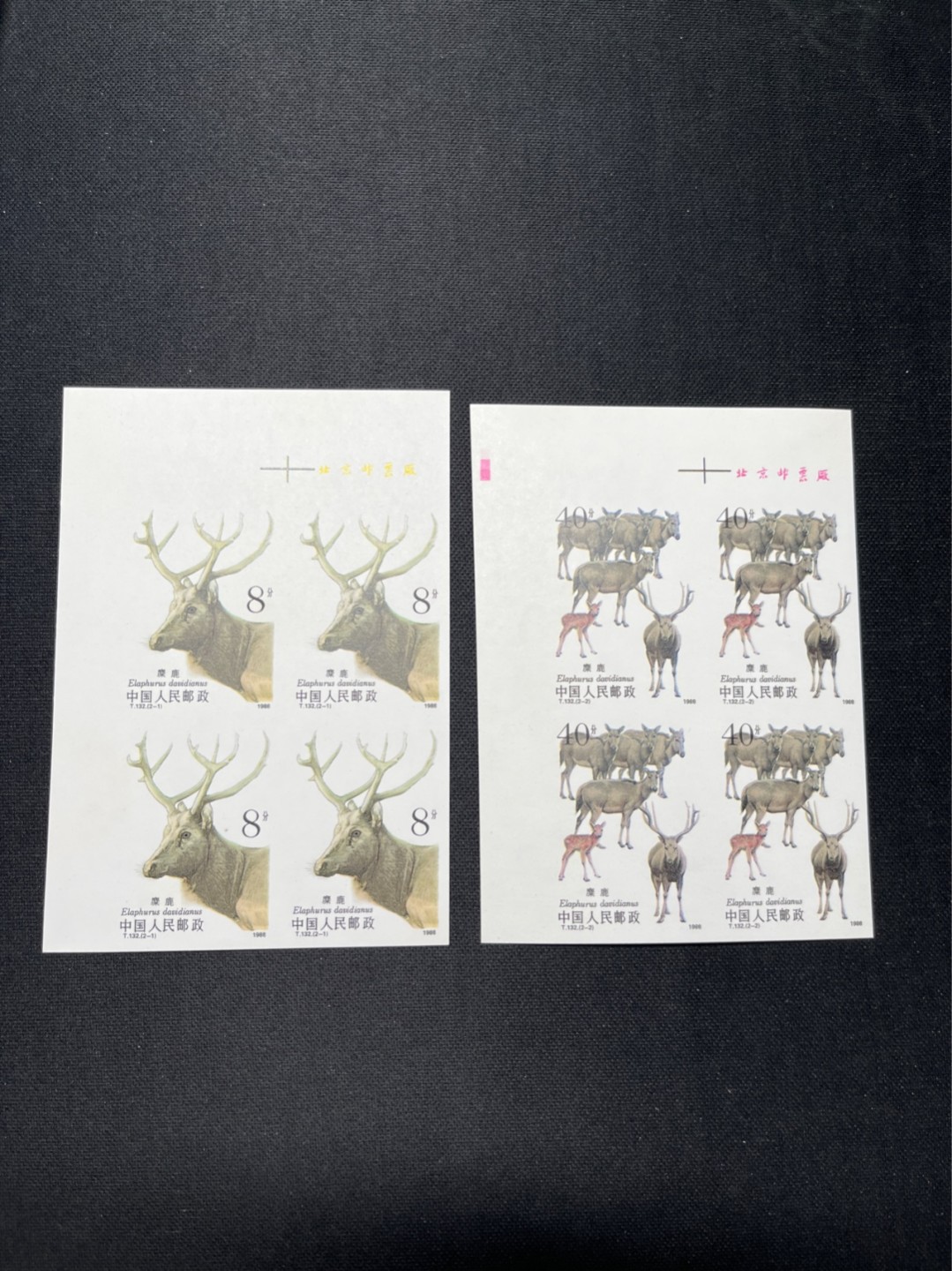洪涛臻品 精选邮票限时拍卖第五十六期 T132无齿麋鹿新全    厂名4方连一组 ✦2-1背面极轻微一点发黄见图✦别无毛病，精品版货  精工细裁 ，四角白尖， 面艳背白，全程带硅胶手套操作，喜欢的老板不要错过