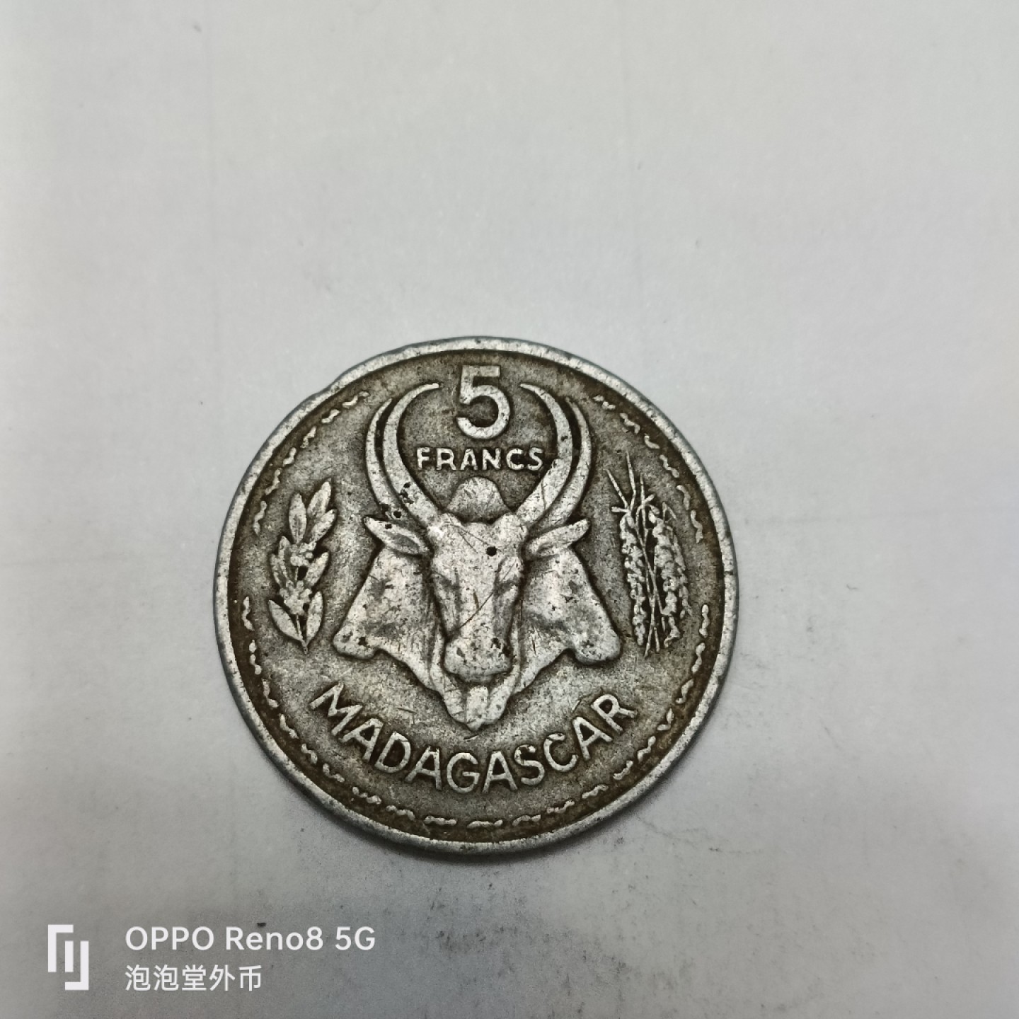 泡泡堂微拍第四幕，零佣金，零押金，满二十元包邮 法属马达加斯加53年大b