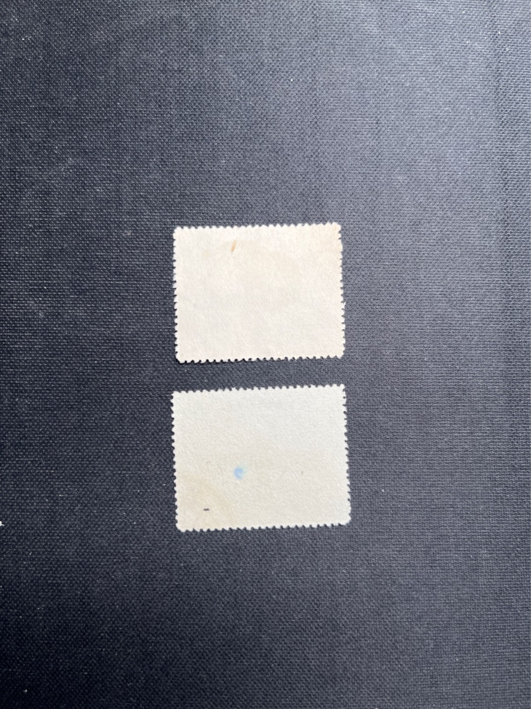 洪涛臻品 精选邮票限时拍卖第五十六期 特31中央自然博物馆 盖销轻微贴印 顺戳