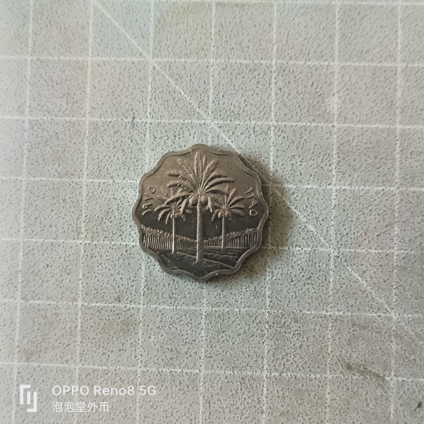 泡泡堂微拍第五幕，零佣金，零押金，满二十元包邮 伊拉克