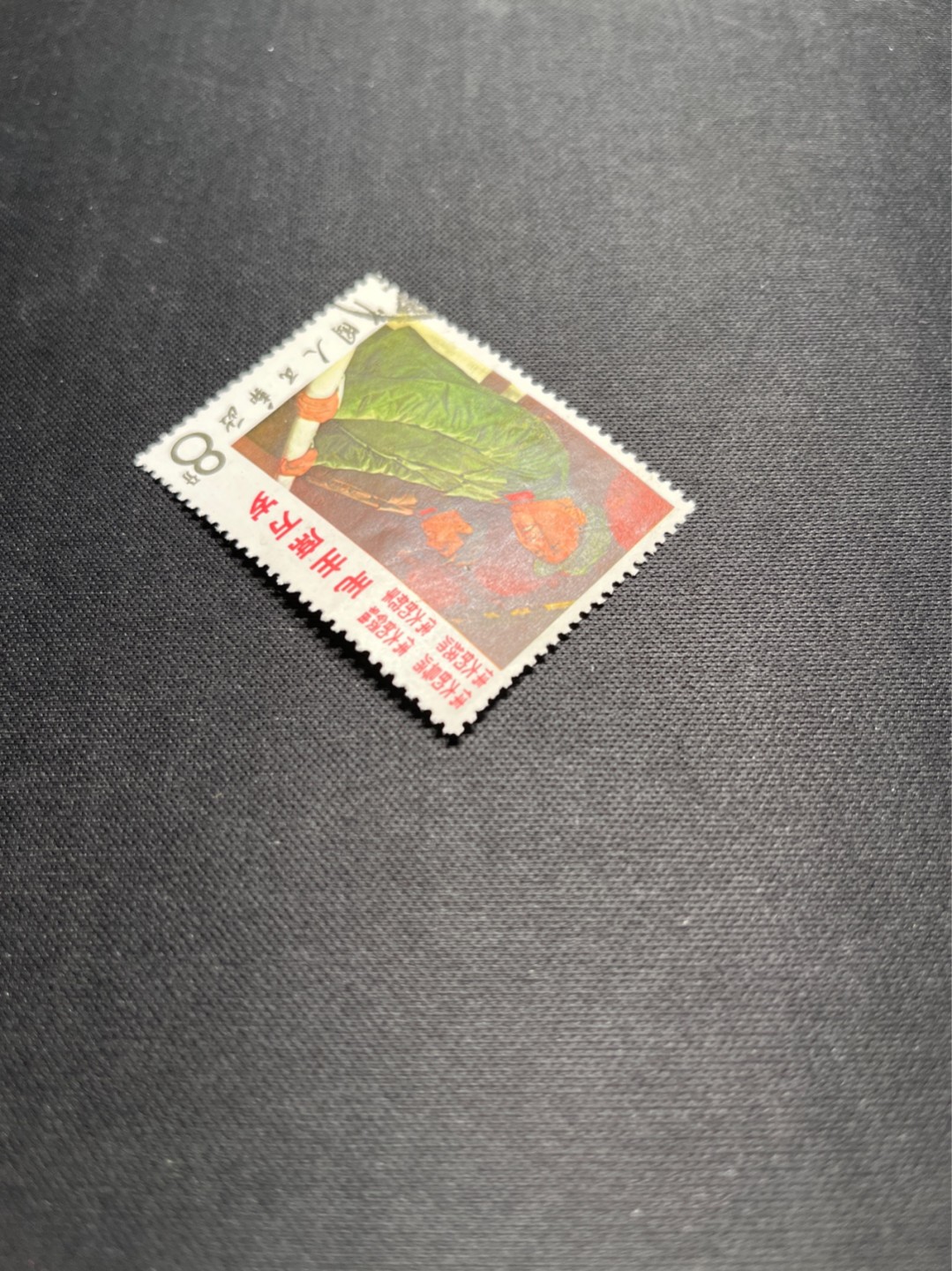 洪涛臻品 精选邮票限时拍卖第五十七期 文2站像信销票★总筋★无裂口，无揭薄，无黄，面艳背白，如此品相的信销票品相已经非常好了，属于信销票里的上成货。无缺齿，好品相的信销票可遇不可求！！忠爱信销票的老板把握机会！！仅此一枚，终生保真。