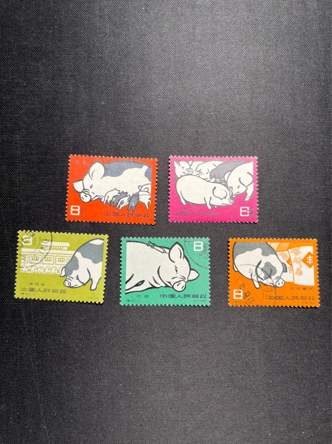 洪涛臻品 精选邮票限时拍卖第五十七期 特40养猪  盖销无胶 面艳！背白！票挺！难题票+贵票！无黄无裂难得品相，注意捡漏！