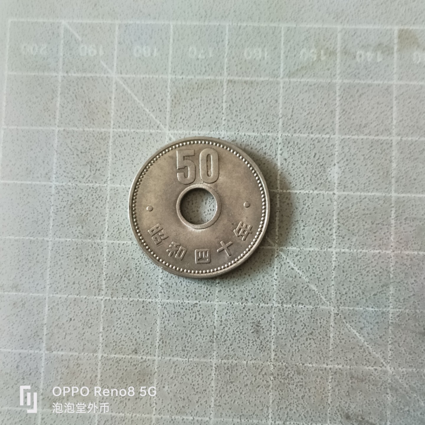 泡泡堂微拍第五幕，零佣金，零押金，满二十元包邮 日本大菊花50钱