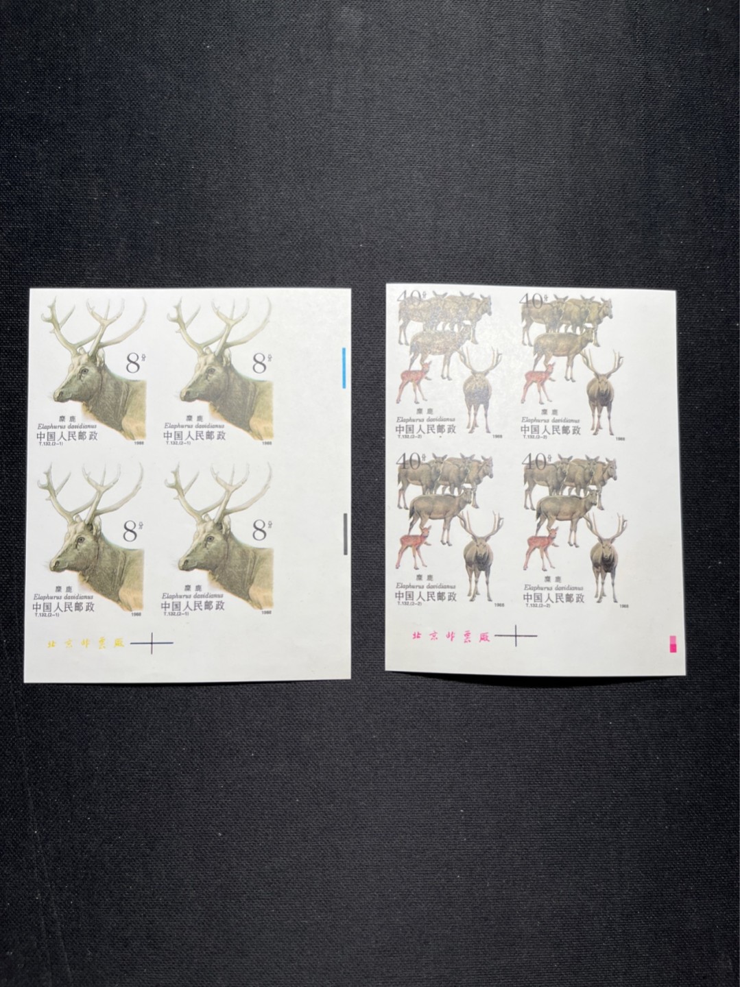 洪涛臻品 精选邮票限时拍卖第五十七期 T132无齿麋鹿新全    厂名4方连一组 ✦2-1背面极轻微一点发黄见图✦别无毛病，精品版货  精工细裁 ，四角白尖， 面艳背白，全程带硅胶手套操作，喜欢的老板不要错过