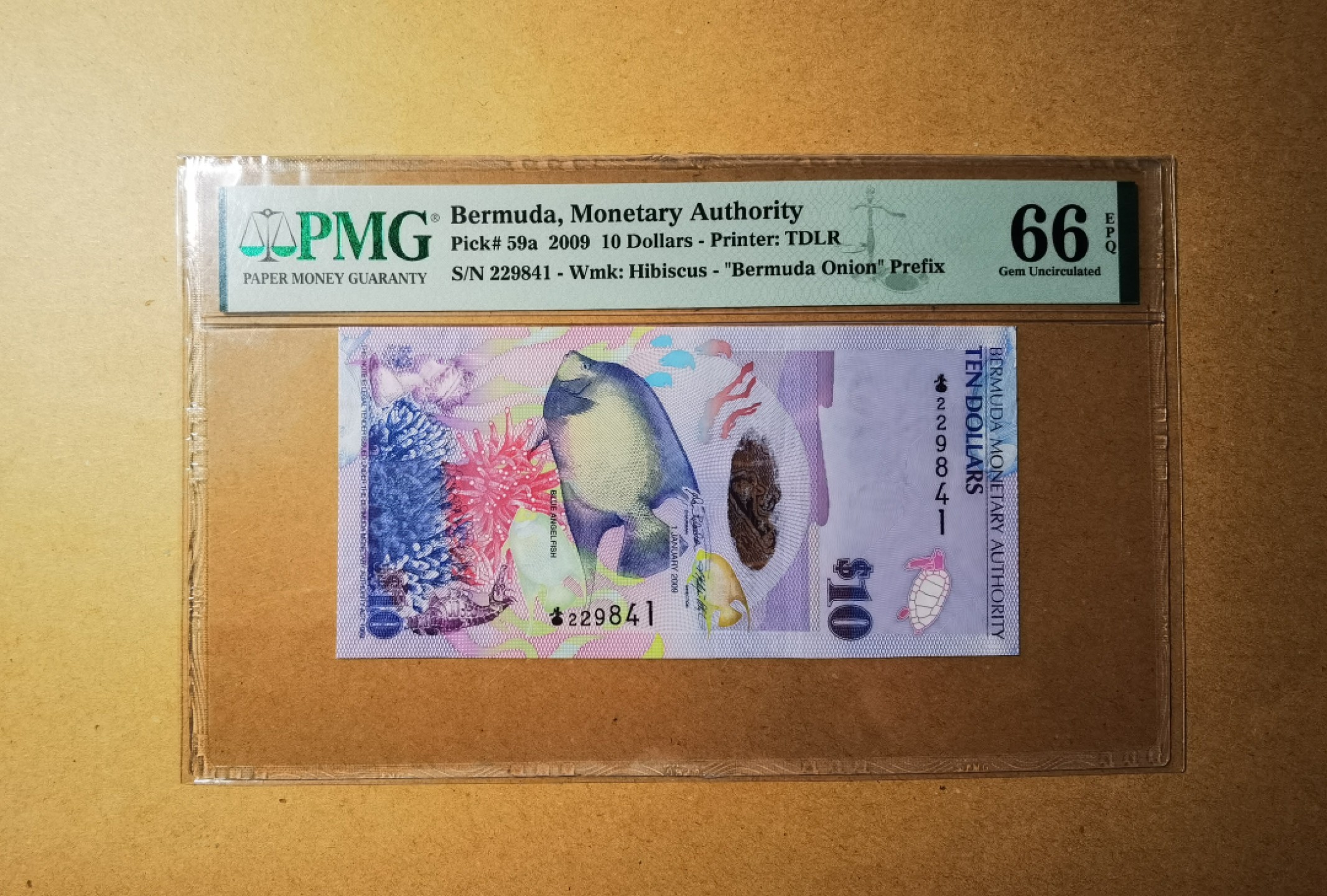 【Blue Auction】✨世界纸币精拍第237期  【洋葱冠】百慕大 2009年10元 PMG66EPQ 