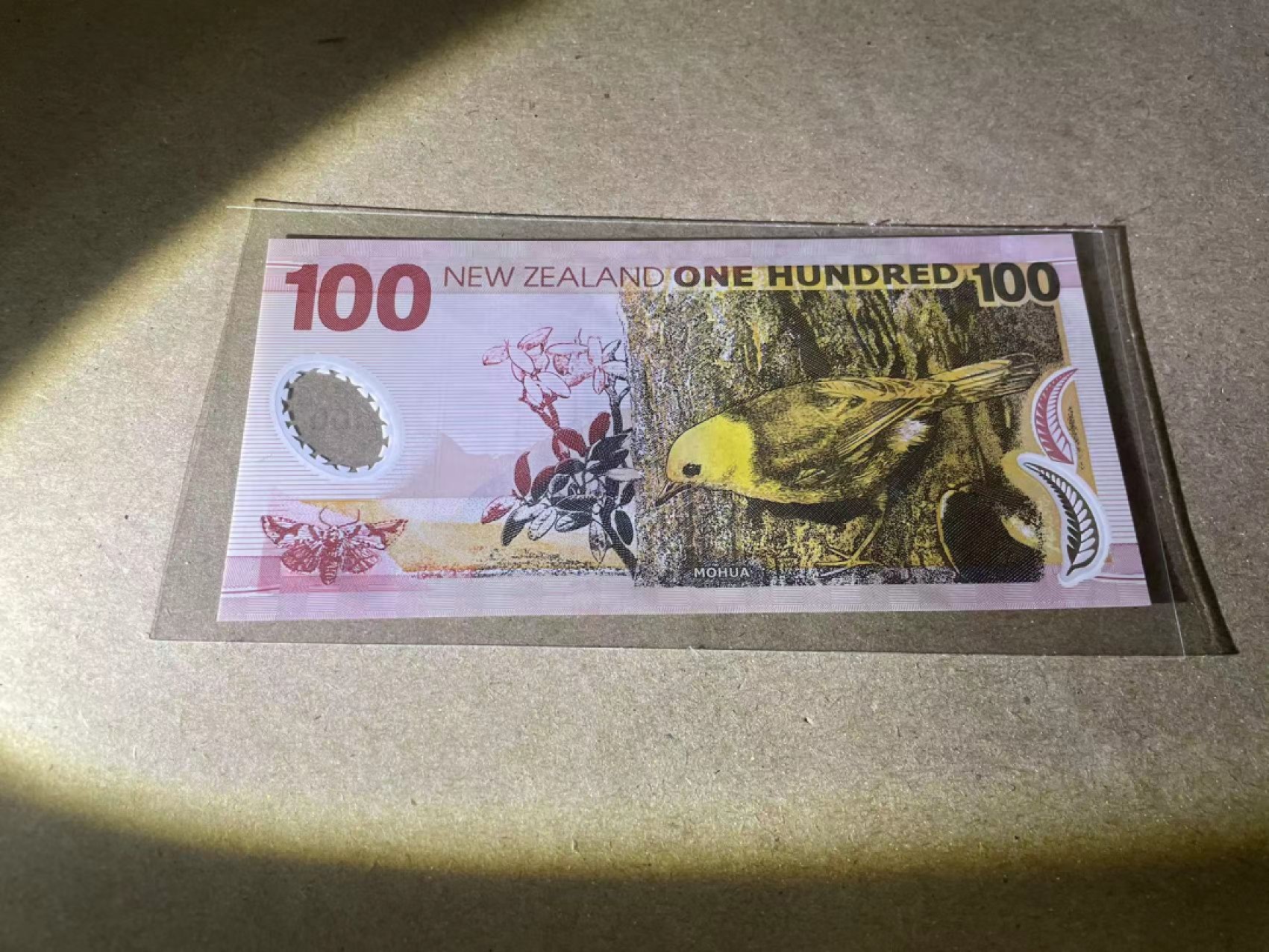 【Blue Auction】✨世界纸币精拍第237期  新西兰 100元 塑料钞 全新UNC