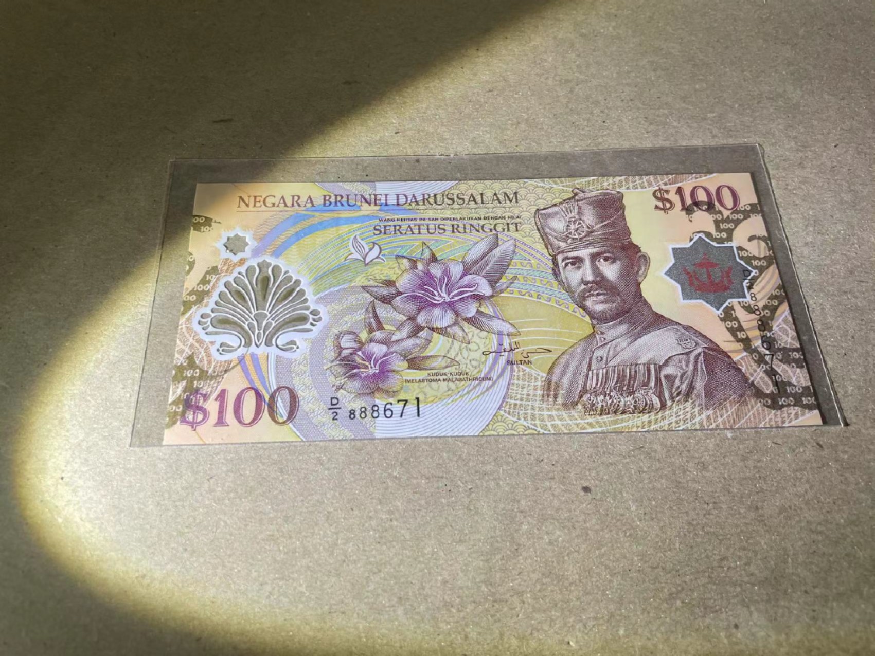 【Blue Auction】✨世界纸币精拍第237期  文莱 100元 全新UNC 塑料钞