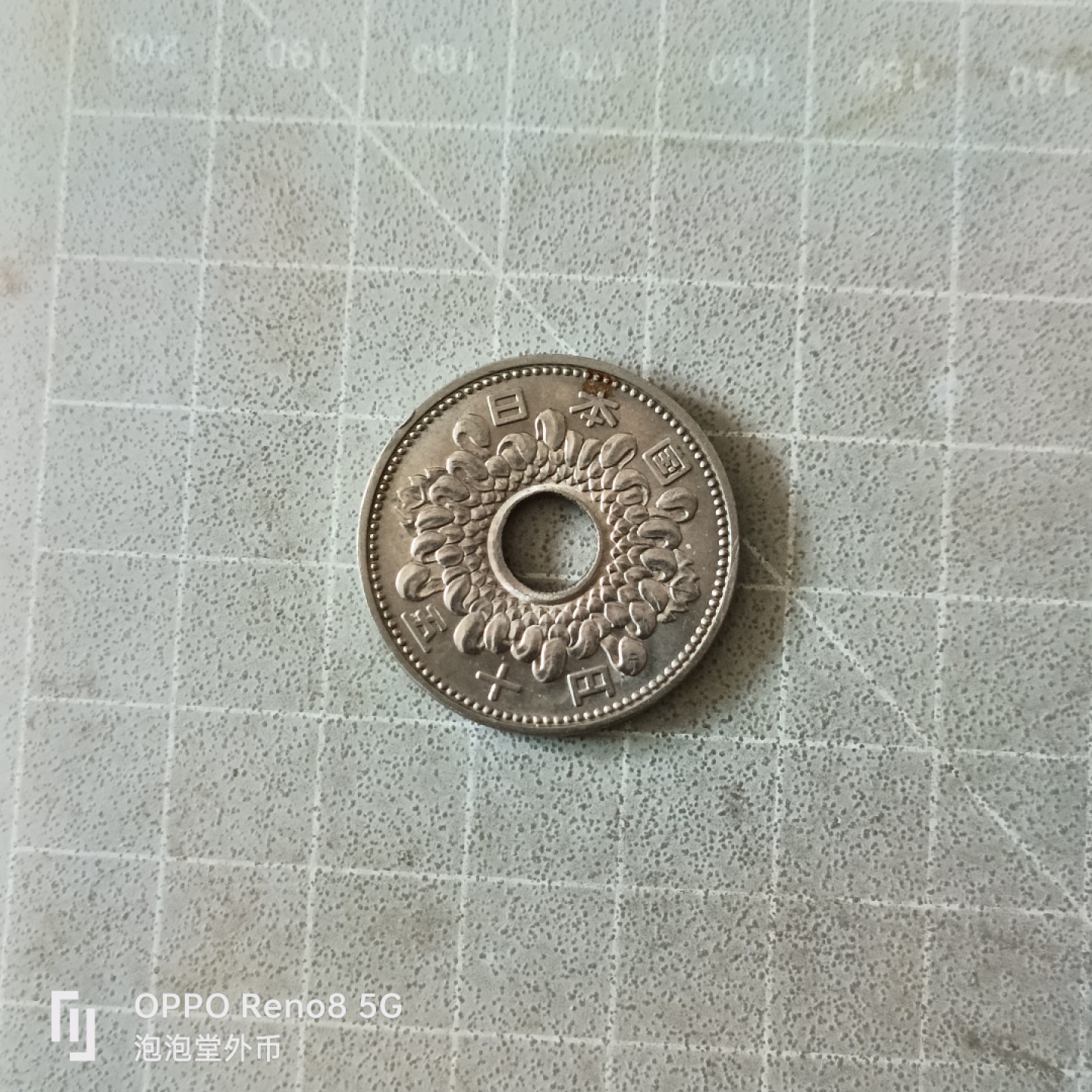 泡泡堂微拍第五幕，零佣金，零押金，满二十元包邮 日本大菊花50钱