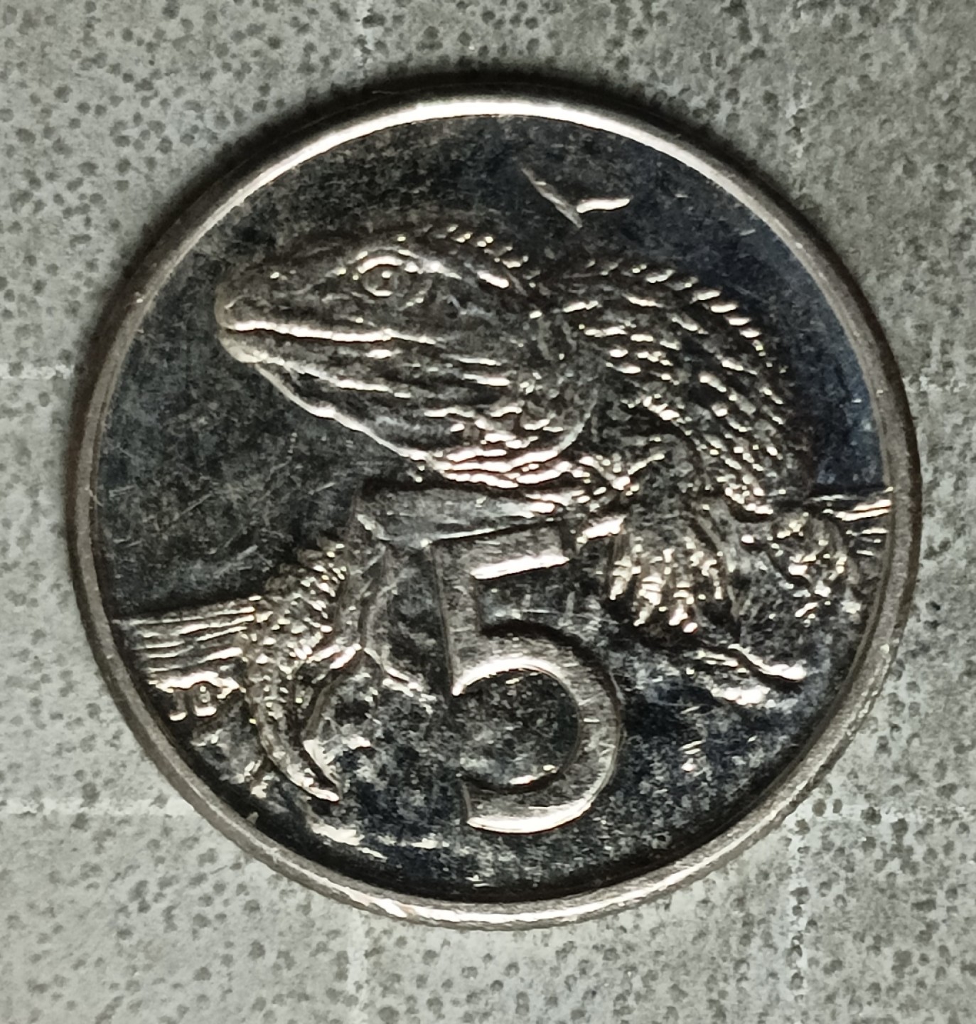 泡泡堂第122期  世界硬币专场（无押金，无佣金，捡漏，全场20包邮，偏远地区除外） 新西兰五分