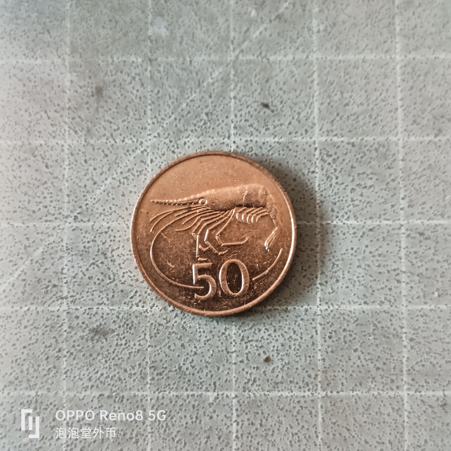 泡泡堂微拍第六幕，零佣金，零押金，满二十元包邮 冰岛50奥拉大虾