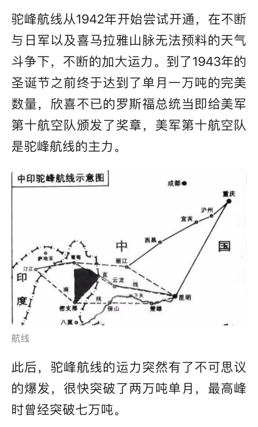 大猫徽章拍卖第205期 二战中缅印战区美国第十航空队证章 银质珐琅 有小修