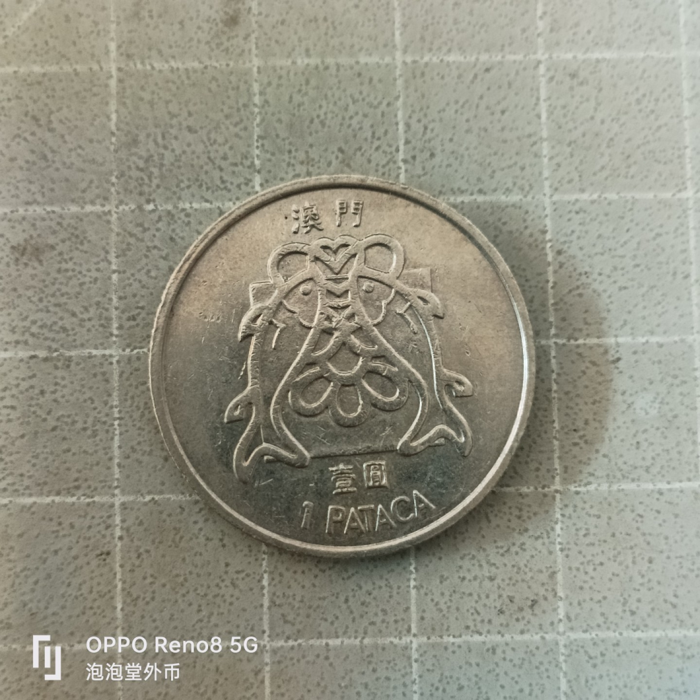 泡泡堂微拍第六幕，零佣金，零押金，满二十元包邮 澳门鱼一元