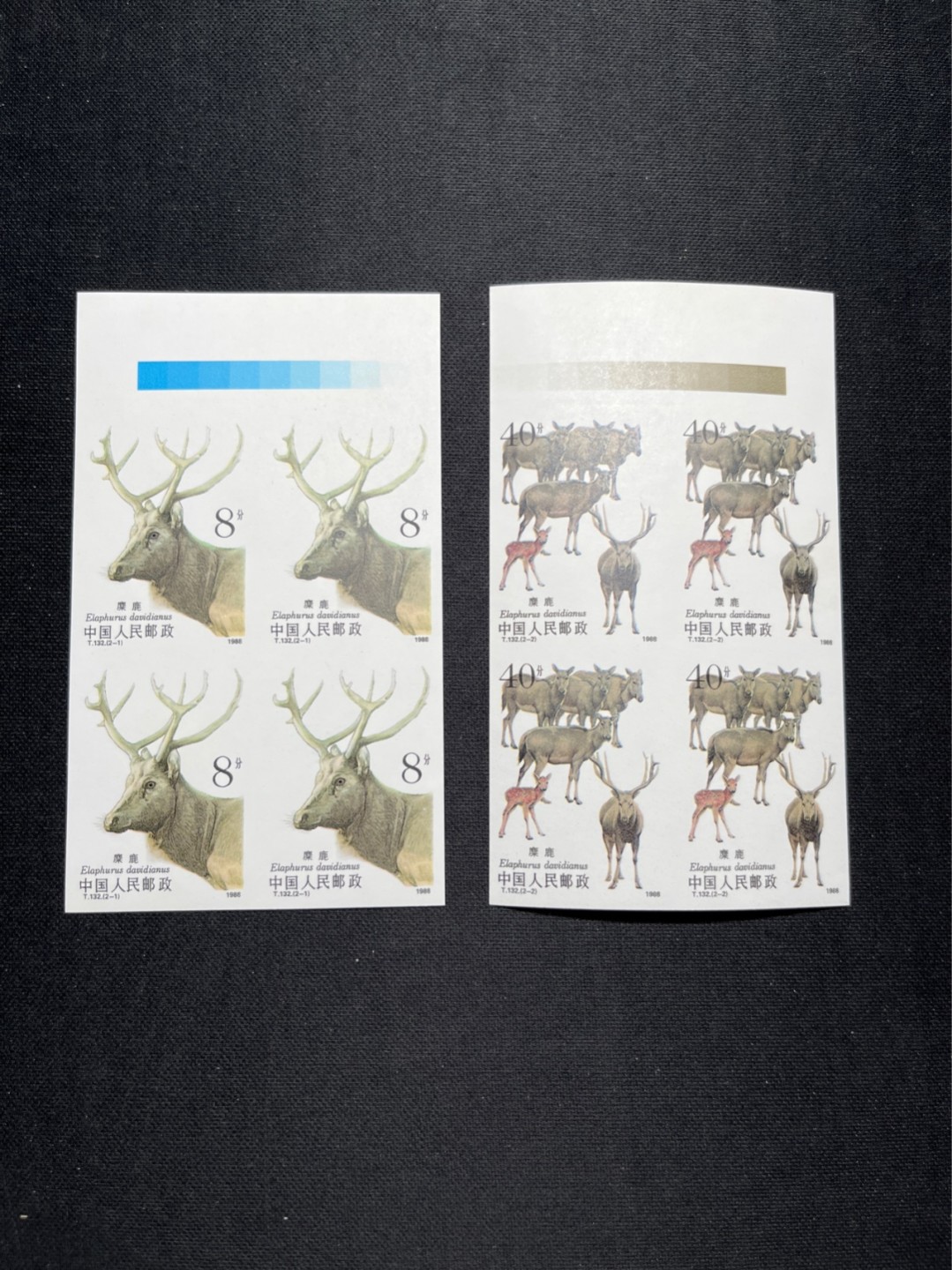 洪涛臻品 精选邮票限时拍卖第五十八期 T132无齿麋鹿新全   色标方连一组 ✦肉眼全品，灯下微瑕✦别无毛病，精品版货  精工细裁 ，四角白尖， 面艳背白，全程带硅胶手套操作，喜欢的老板不要错过