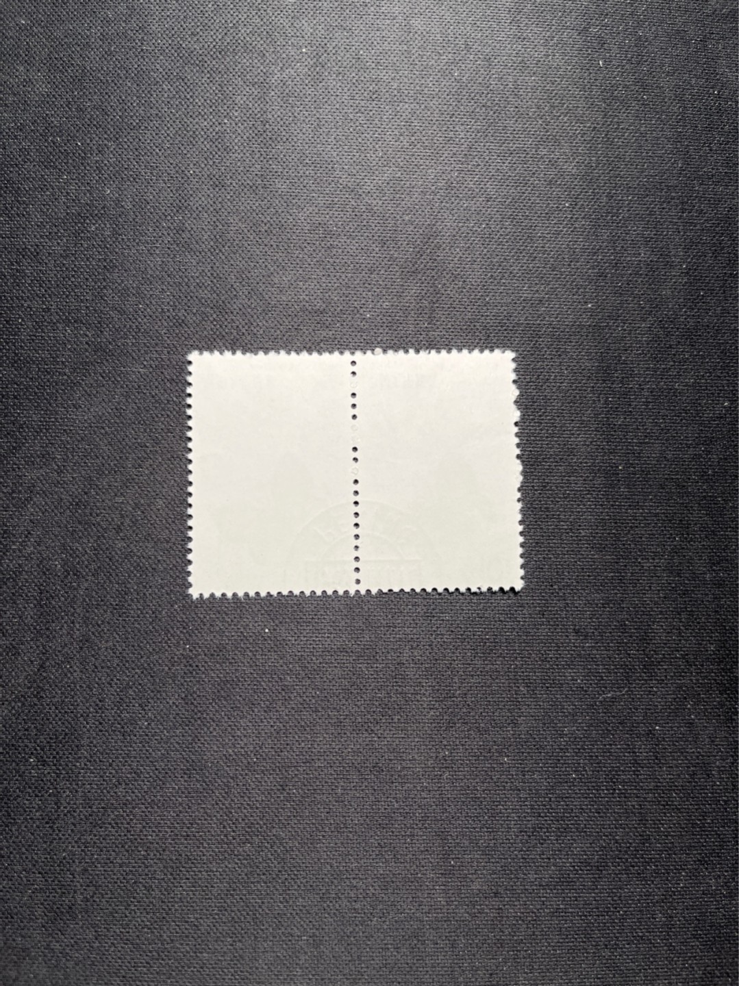 洪涛臻品 精选邮票限时拍卖第六十一期 特56蝴蝶盖销  20-11 全品 2连一组★中间全地名日期戳★版撕全品嘎嘎绝★中心全钢戳，非常漂亮，收藏首选★面艳胶白，六珍之一，非常受欢迎的品种，新票价格高，盖销全品不要错过 