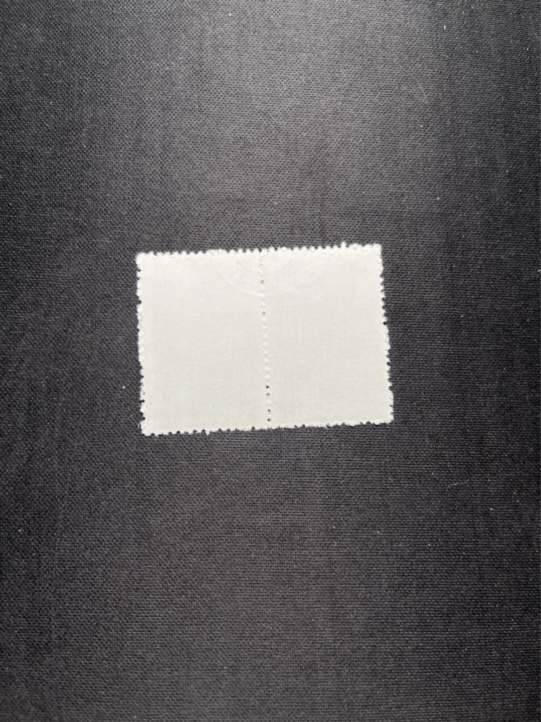 洪涛臻品 精选邮票限时拍卖第六十四期 特56蝴蝶盖销  20-15 全品  2连一组★中间全地名日期戳★版撕全品嘎嘎绝，钢戳，收藏首选，面艳胶白，六珍之一，非常受欢迎的品种，新票价格高，盖销全品不要错过，完美品相，低价拿货的最佳时机 