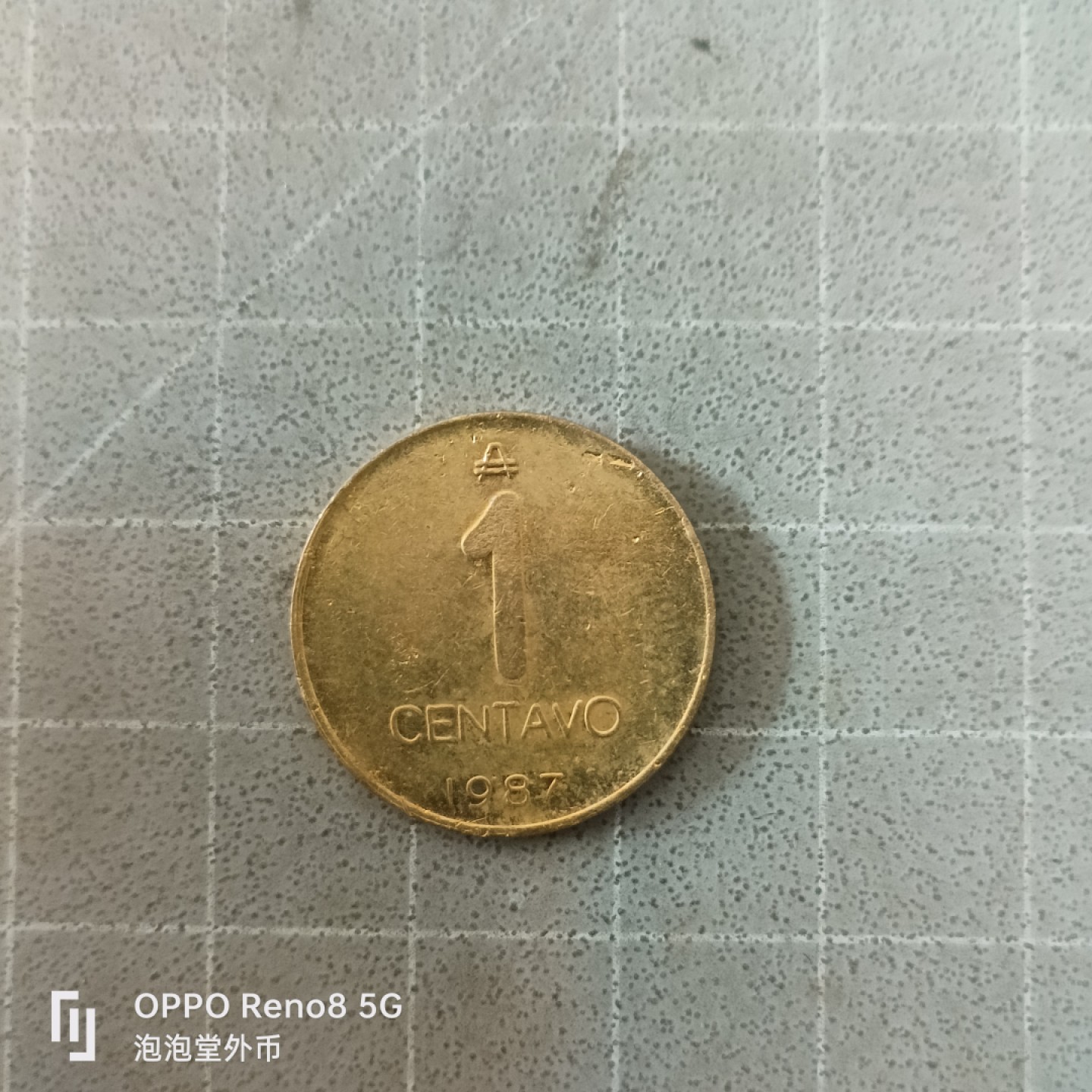 泡泡堂微拍第六幕，零佣金，零押金，满二十元包邮 阿根廷鸵鸟一分