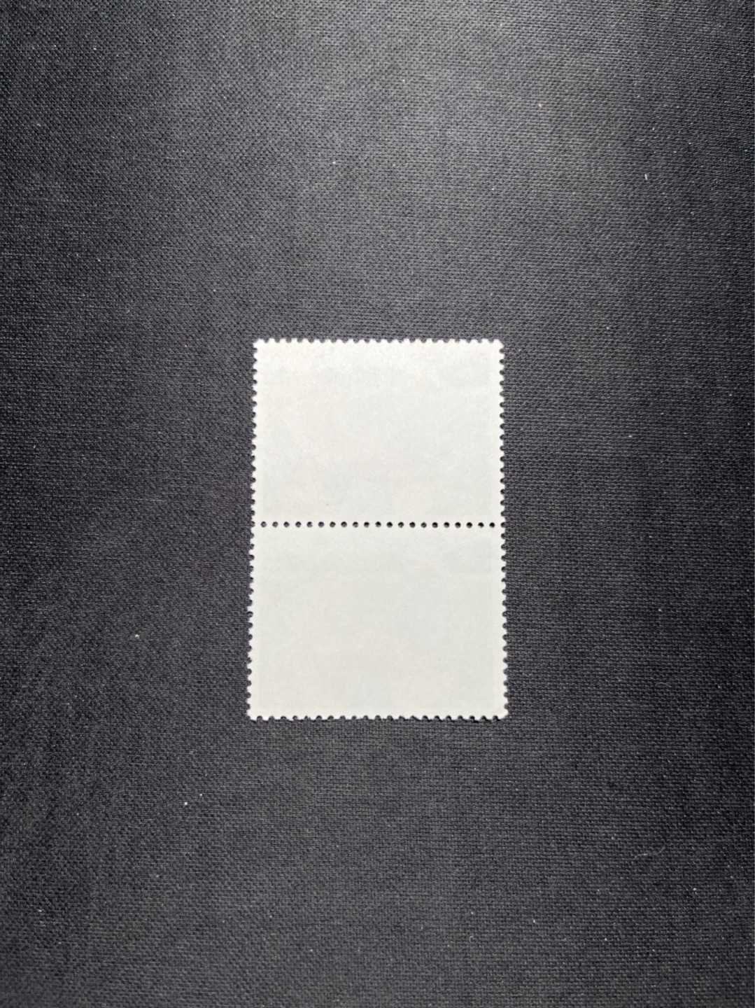 洪涛臻品 精选邮票限时拍卖第五十八期 文17  10分  2连一组，版撕票，一枚全品，一枚角软折上品，喜欢不要错过！《ASG评级处于初级阶段，注意建仓便宜的版撕货，未来市场前景不可估量！！！！》