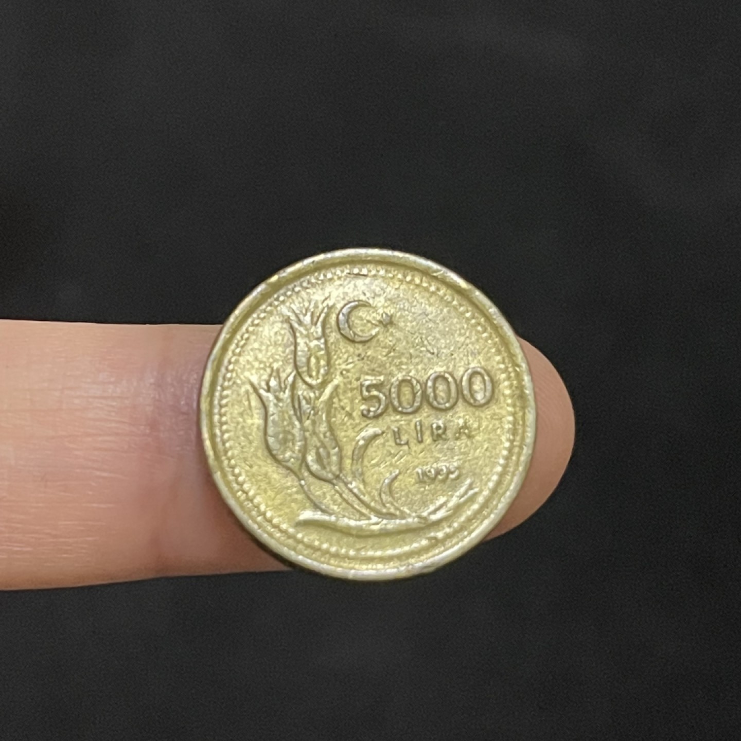 外国硬币0元起拍（10） 5000里拉
