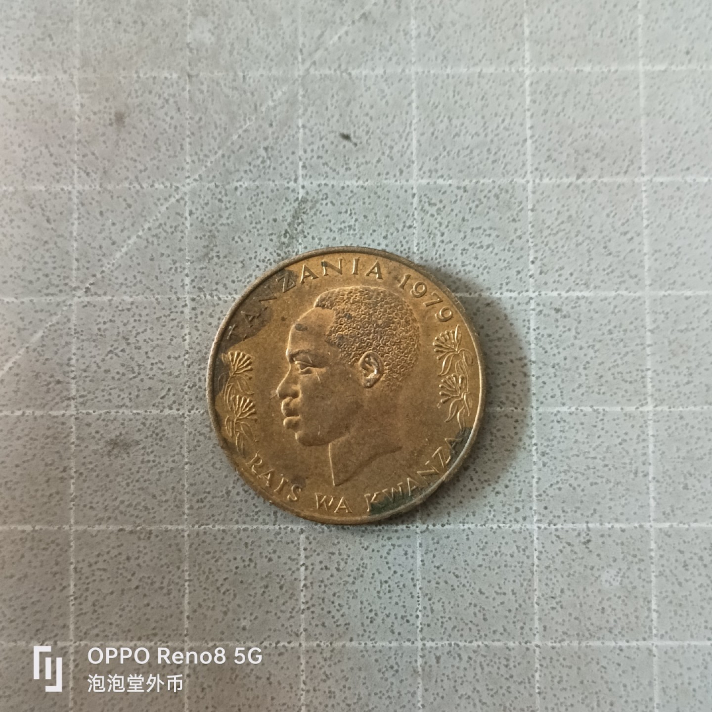 泡泡堂微拍第六幕，零佣金，零押金，满二十元包邮 坦桑尼亚20先令