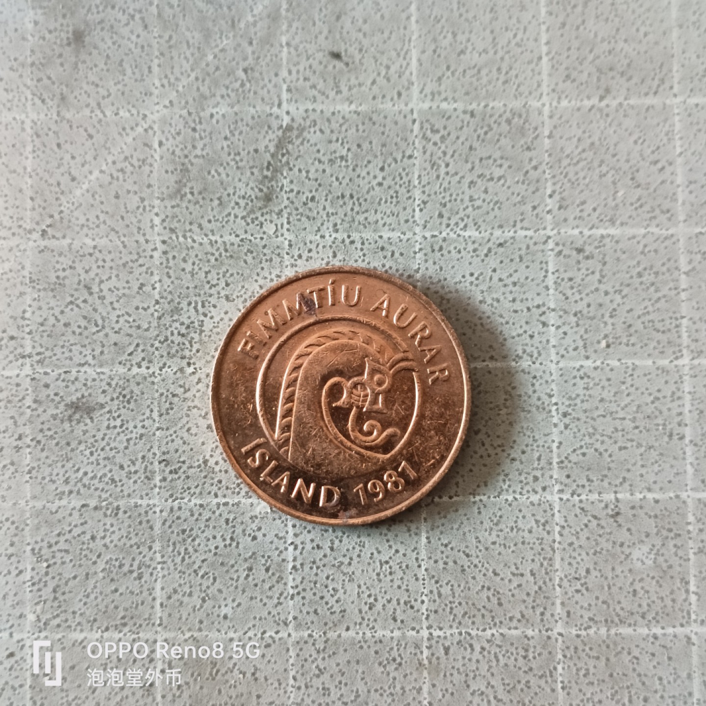 泡泡堂微拍第六幕，零佣金，零押金，满二十元包邮 冰岛50奥拉大虾