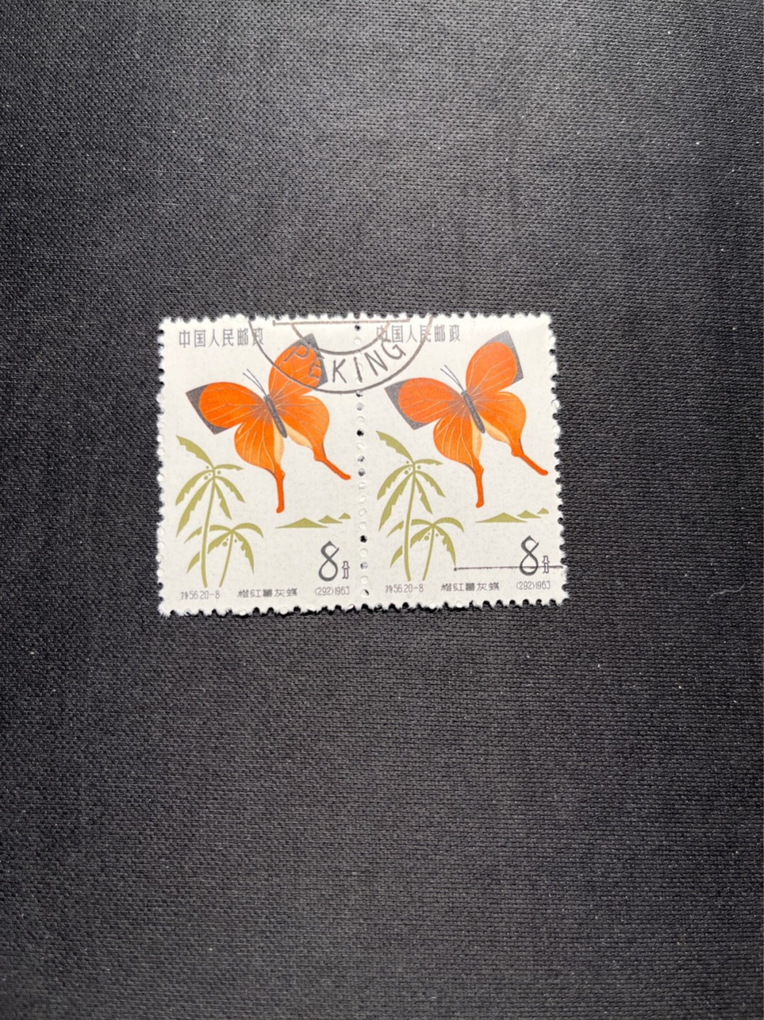 洪涛臻品 精选邮票限时拍卖第六十四期 特56蝴蝶盖销  20-8  2连，下边中间戳，版撕全品嘎嘎绝，钢戳，面艳胶白，六珍之一，非常受欢迎的品种，新票价格高，盖销全品不要错过