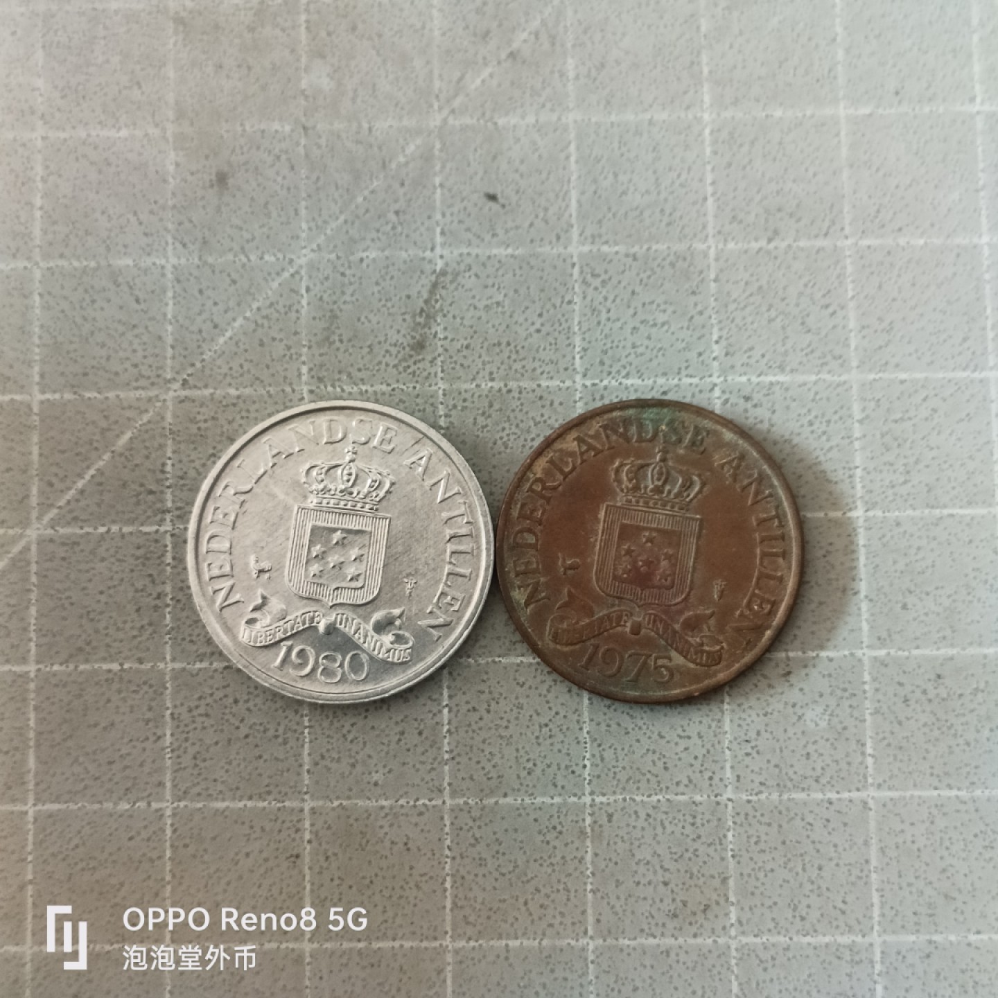 泡泡堂微拍第六幕，零佣金，零押金，满二十元包邮 荷属安德烈斯二又1/2一对