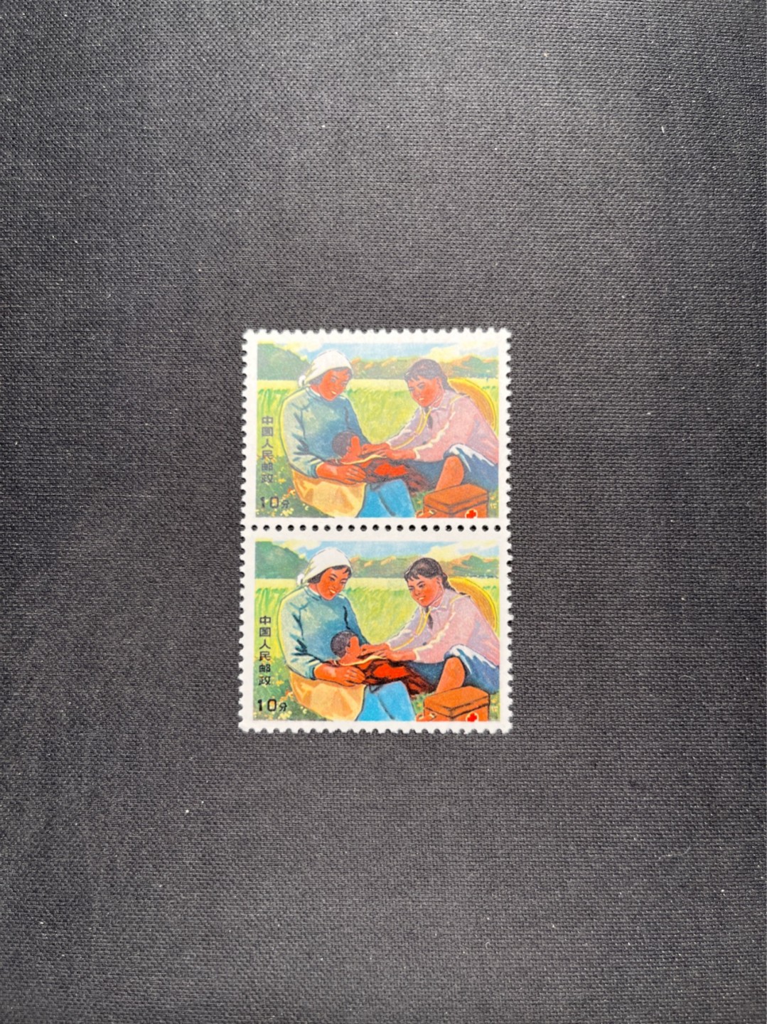 洪涛臻品 精选邮票限时拍卖第五十八期 文17  10分  2连一组，版撕票，一枚全品，一枚角软折上品，喜欢不要错过！《ASG评级处于初级阶段，注意建仓便宜的版撕货，未来市场前景不可估量！！！！》
