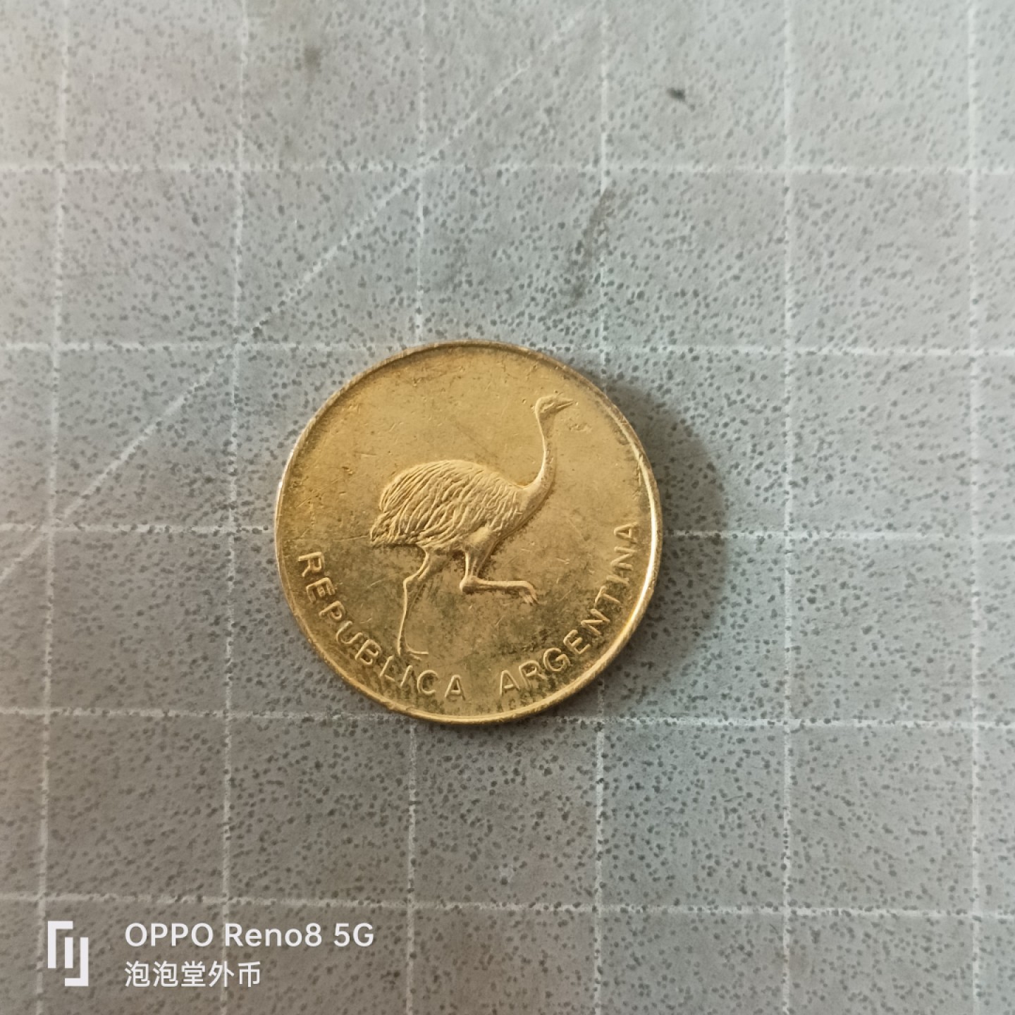 泡泡堂微拍第六幕，零佣金，零押金，满二十元包邮 阿根廷鸵鸟一分